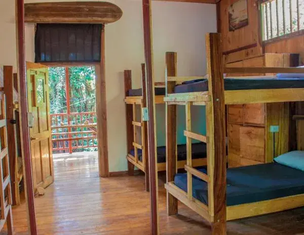 Bunk Bed in Mixed Dormitory Room in Burnt Toast Surfcamp Bunk Bed in Mixed Dormitory Room in Burnt Toast Surfcamp