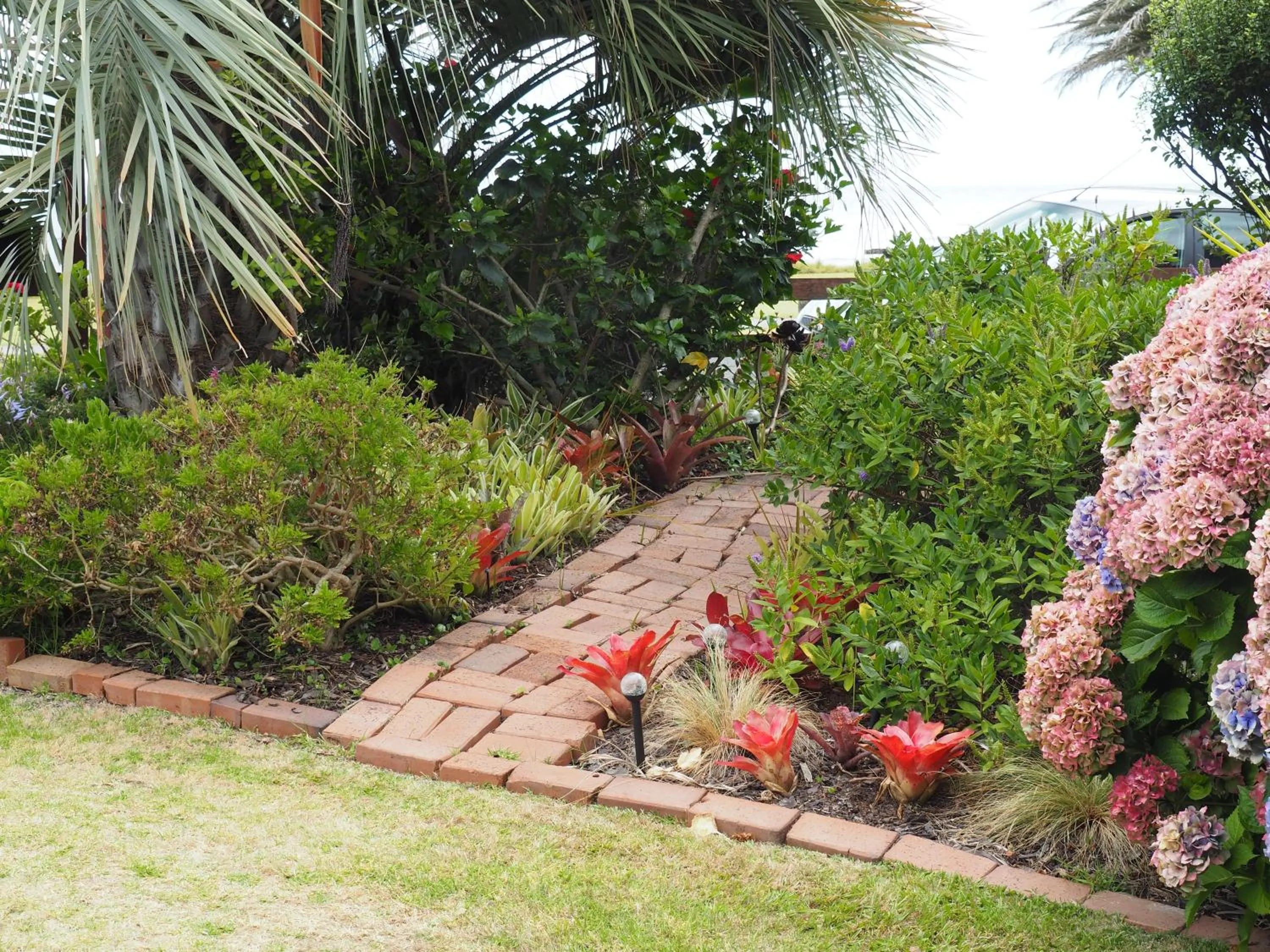 Garden in Ocean View