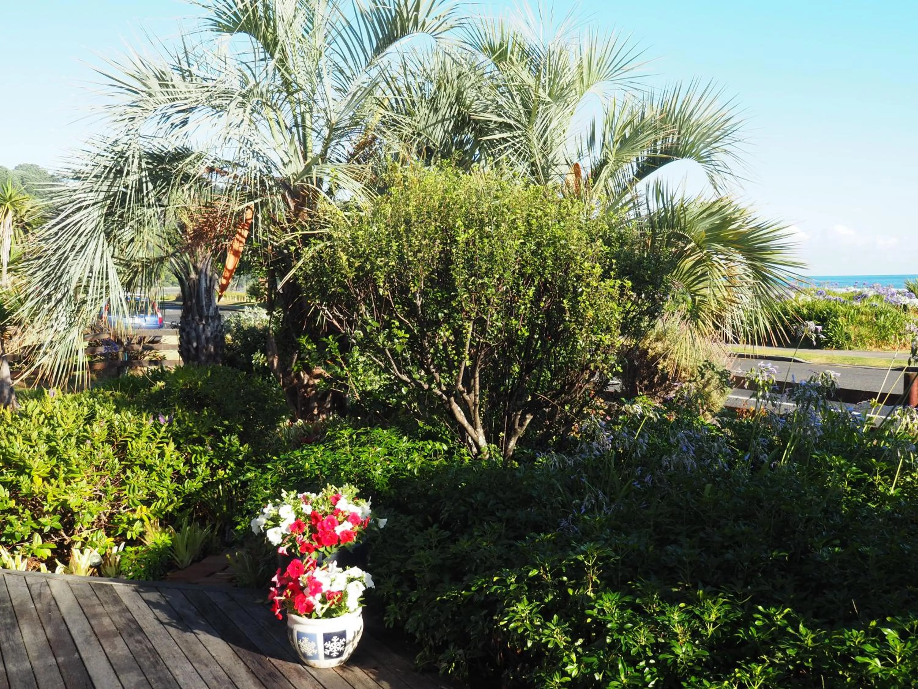 Garden view in Ocean View