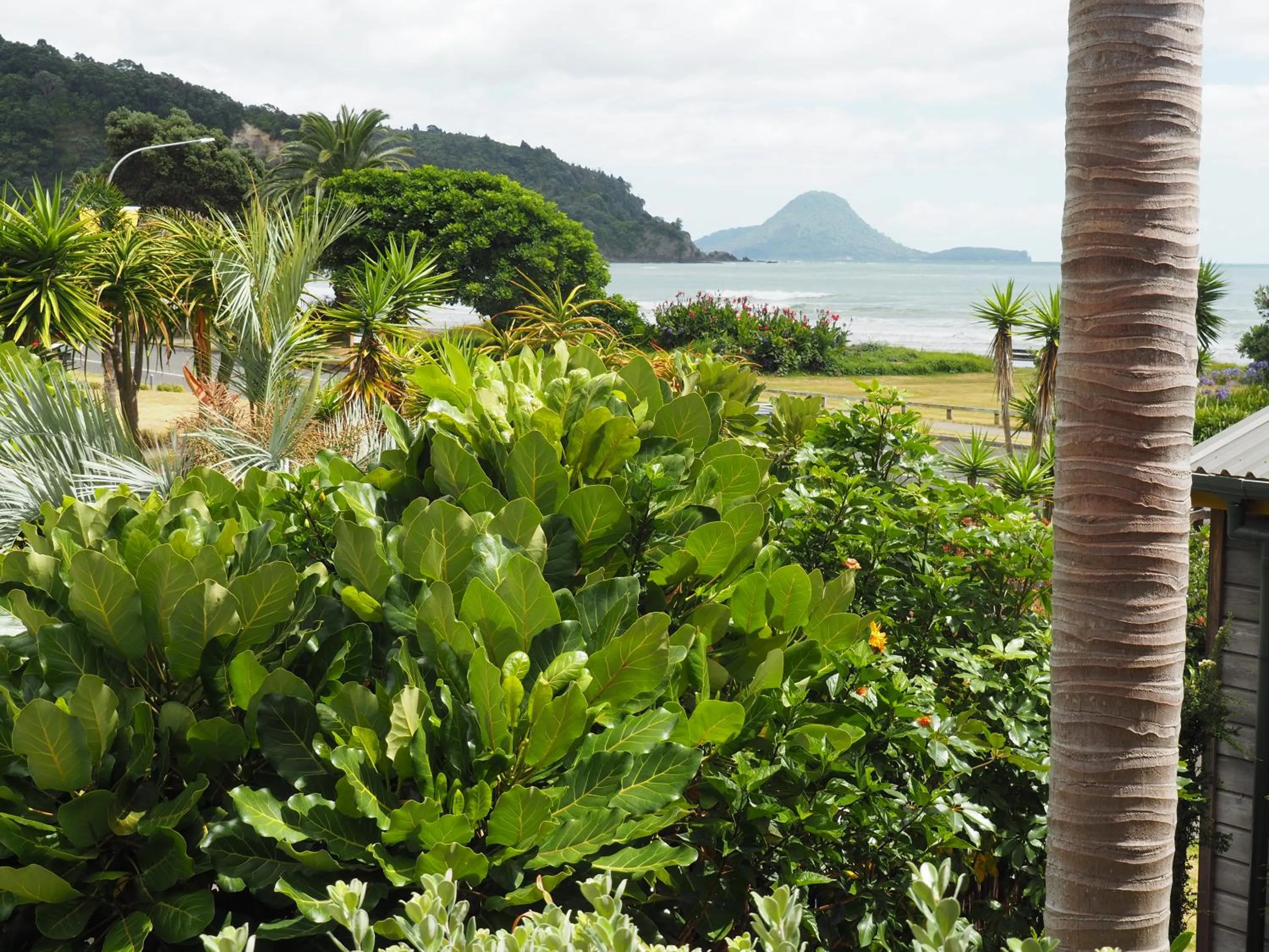 Sea view in Ocean View