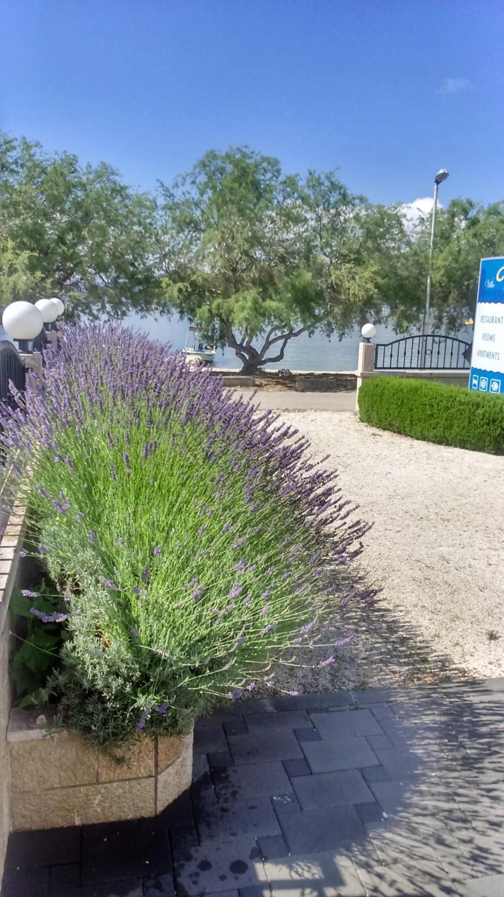 Garden in Villa Mediterana