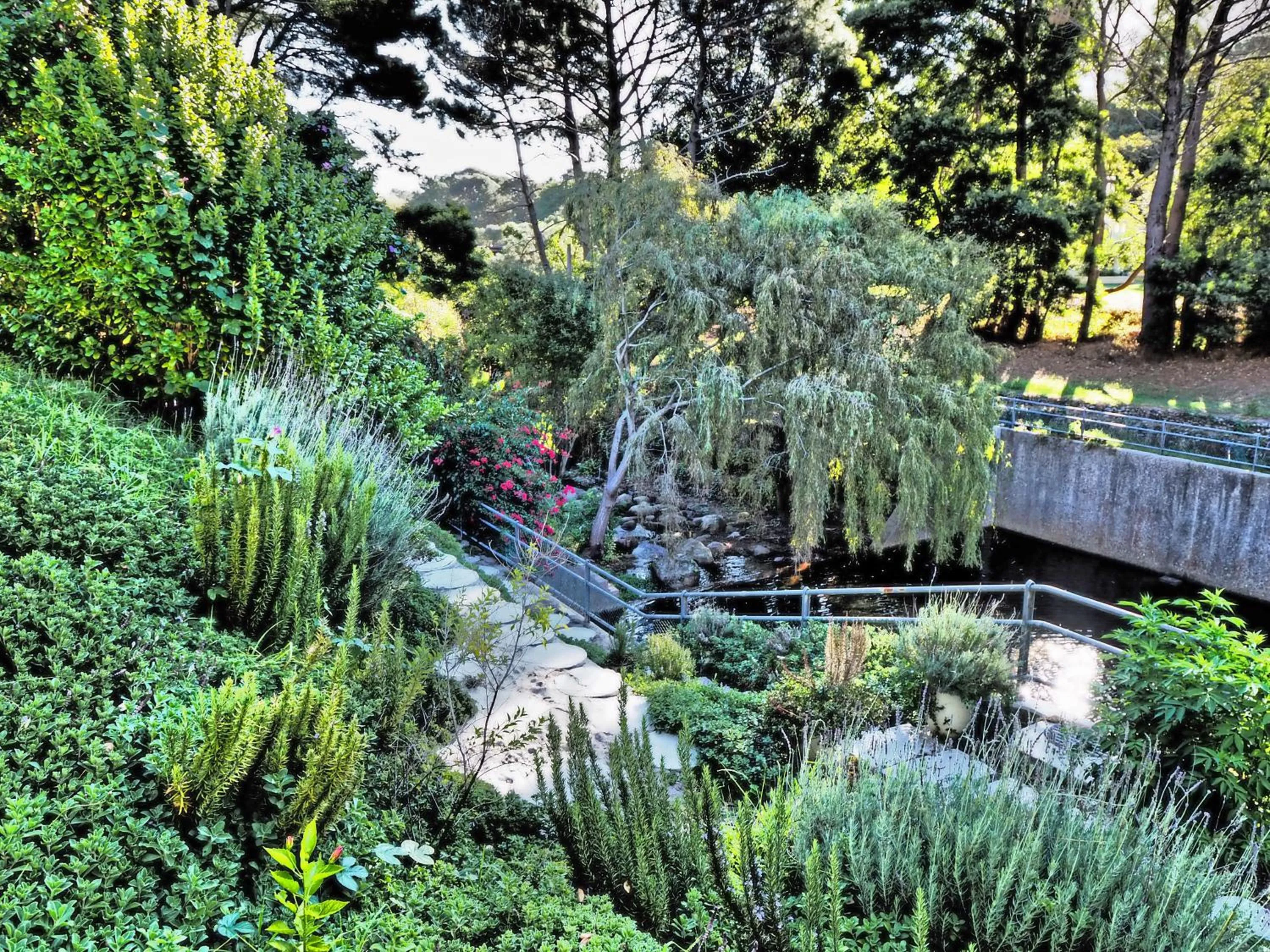 River view in Waterland Lodge