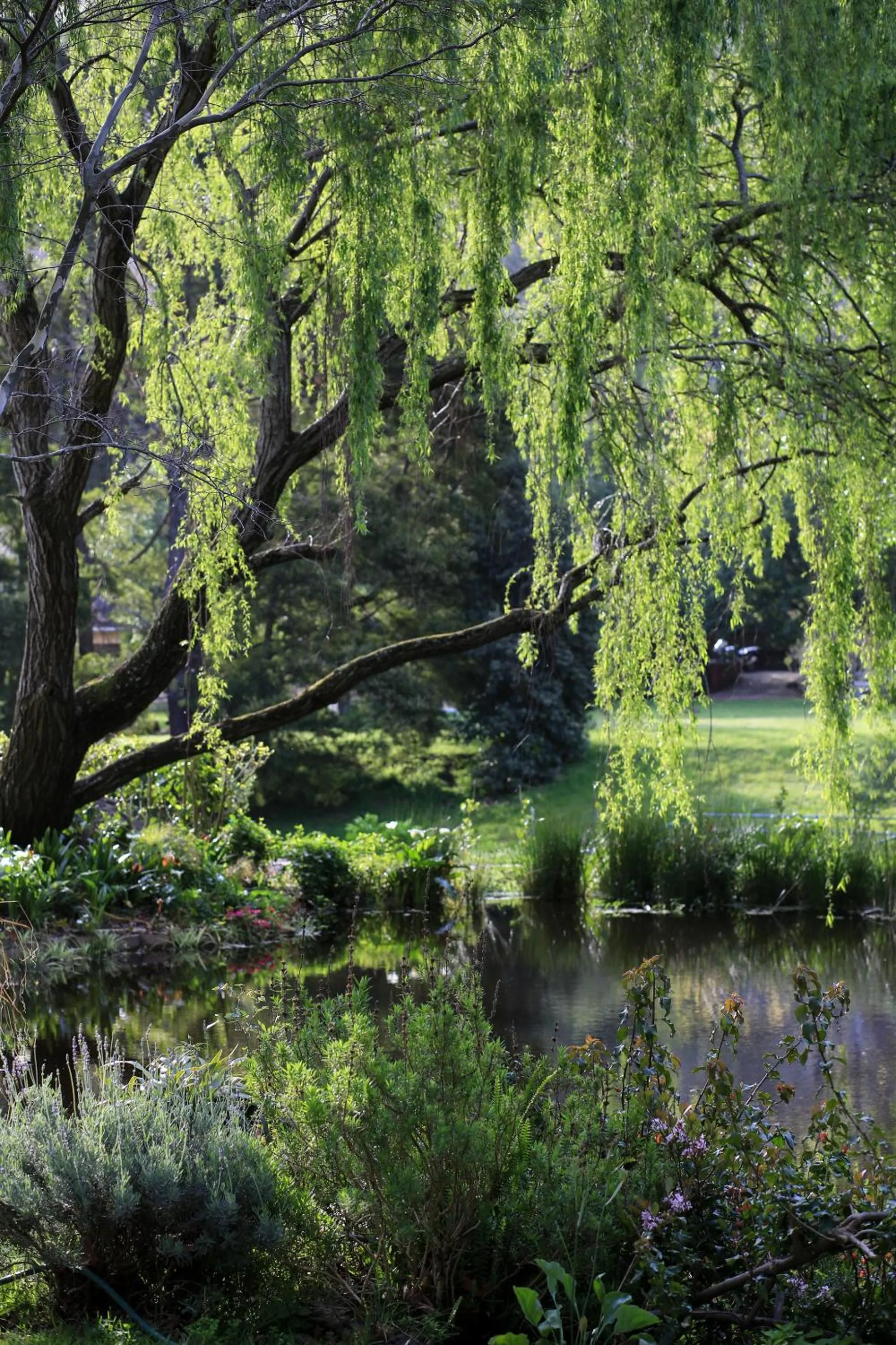 Garden in Waterland Lodge