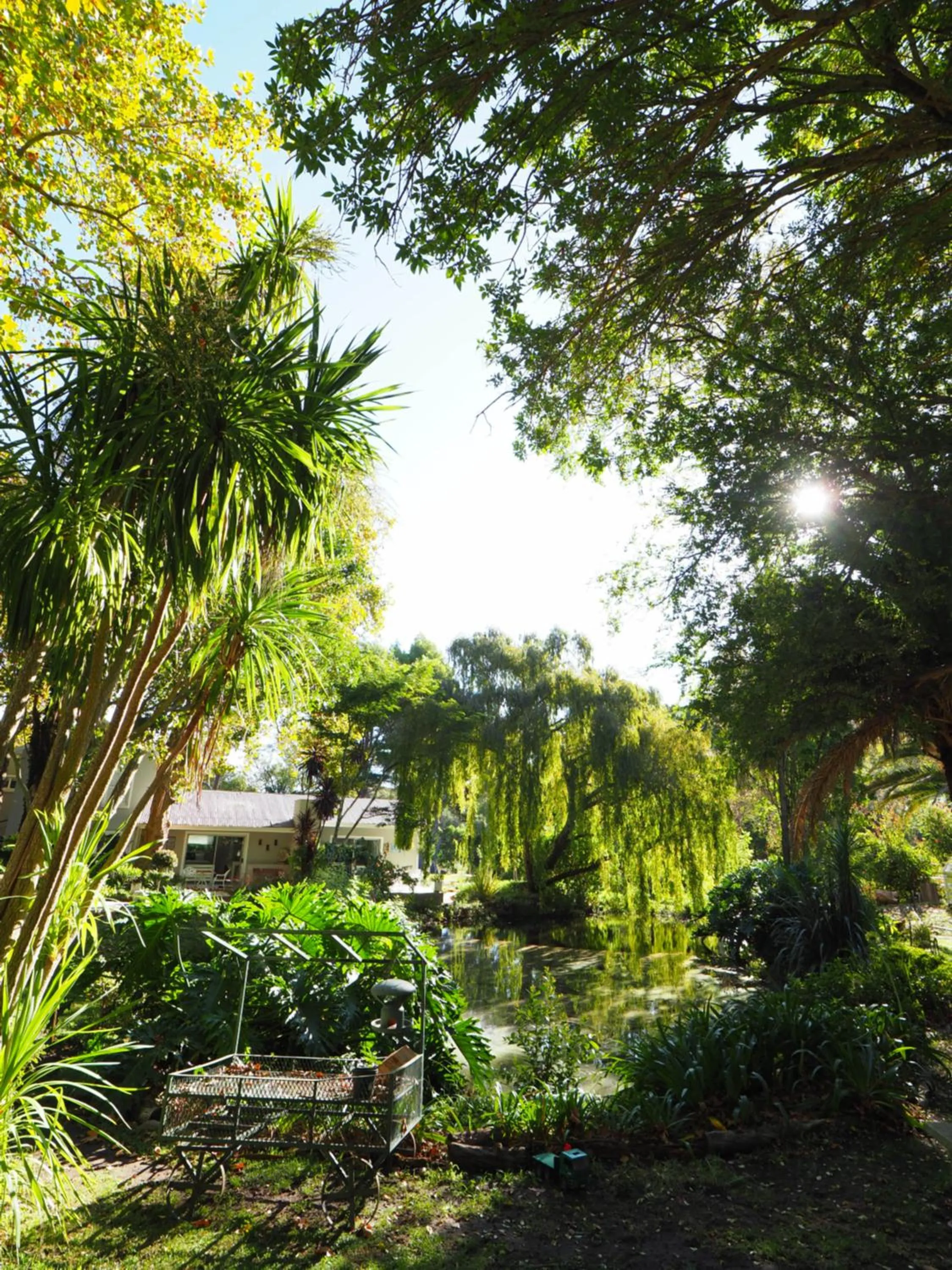 Garden view in Waterland Lodge