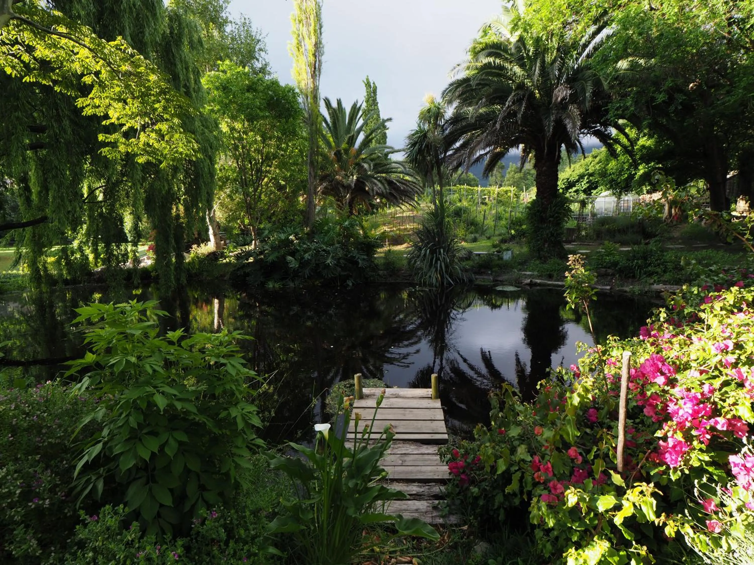 Lake view in Waterland Lodge