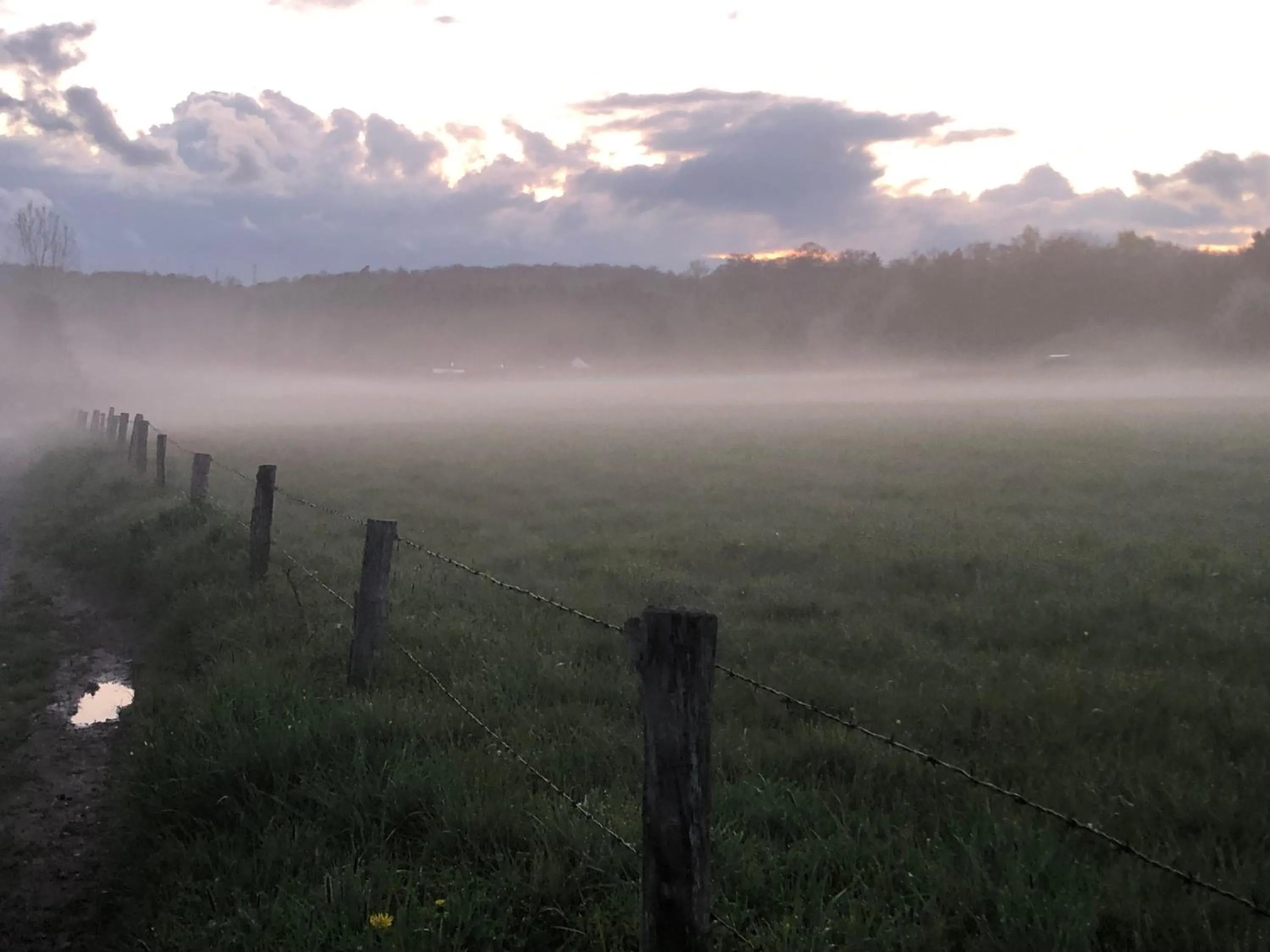 Natural landscape in Gästehaus Köhler