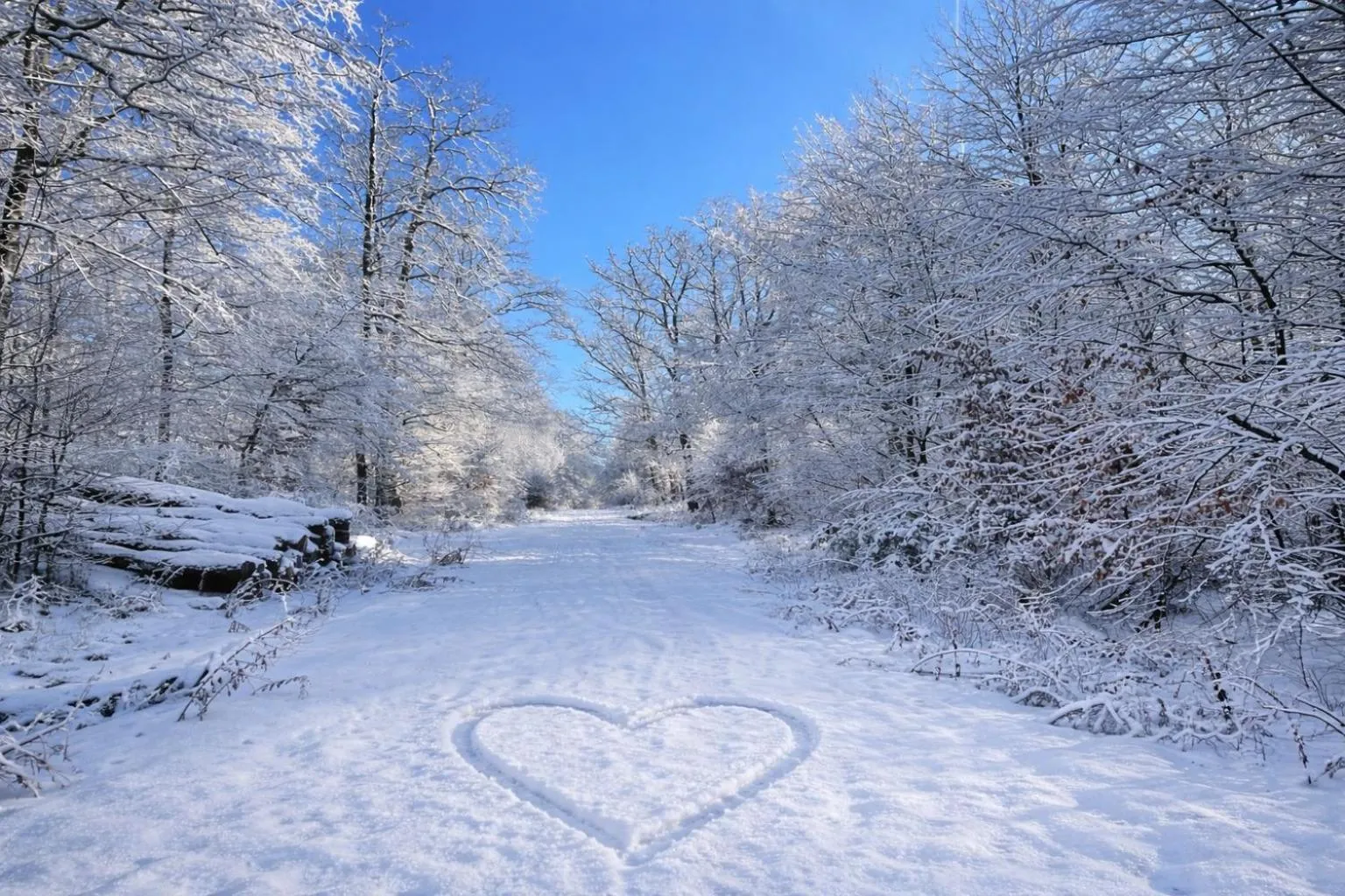 Area and facilities in Gästehaus Köhler