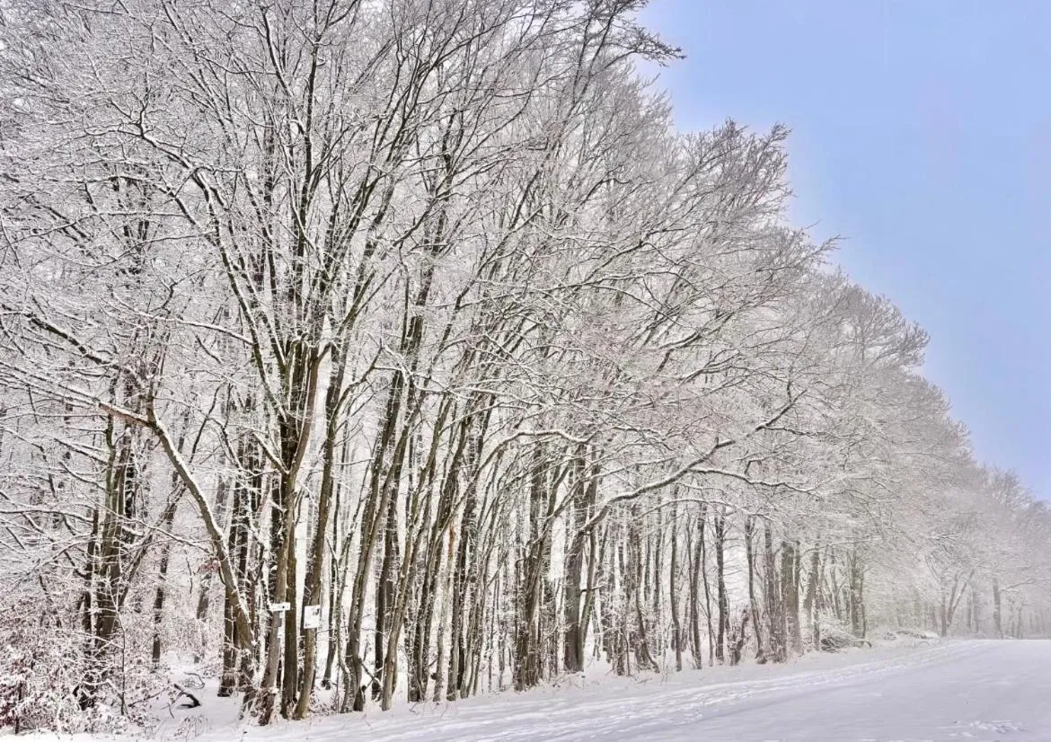 Nearby landmark in Gästehaus Köhler