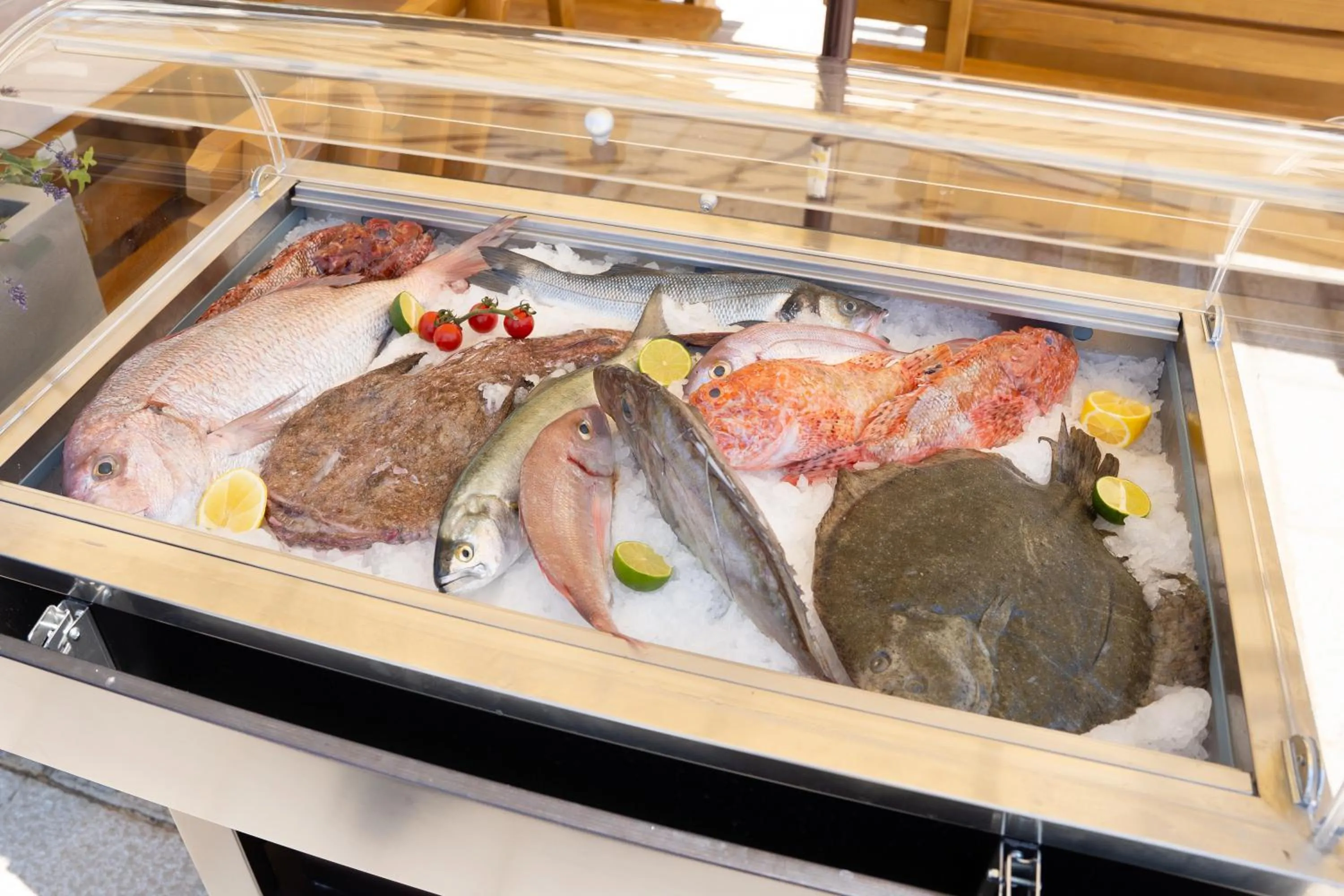 Restaurant/places to eat in Hotel Marina