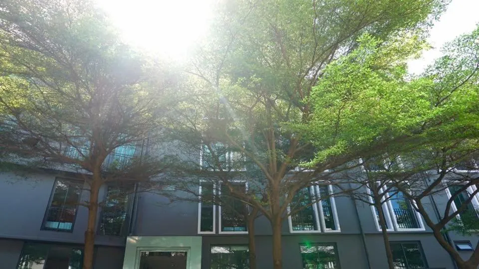 BB House Khlongtan บีบีเฮ้าส์ คลองตัน