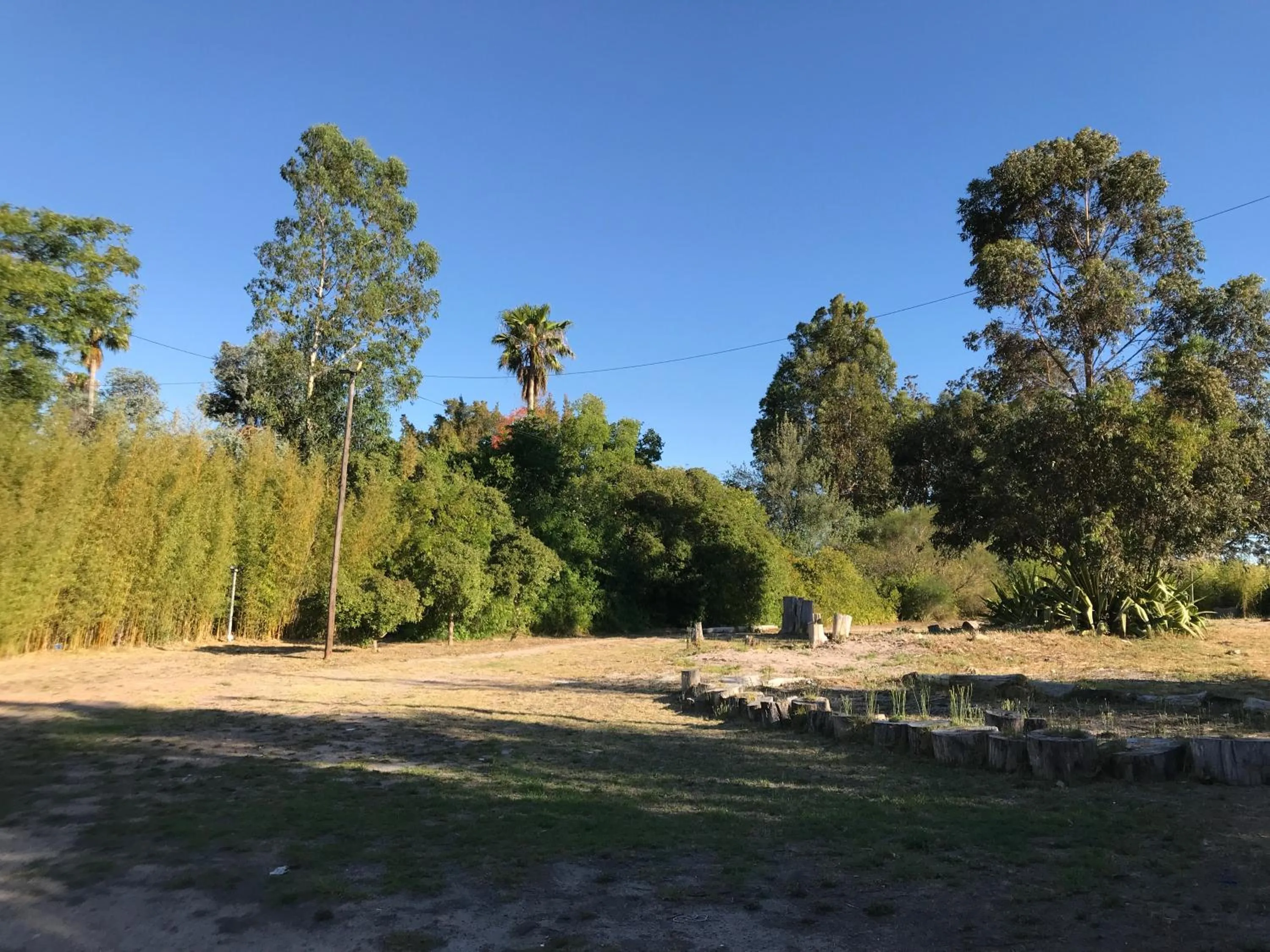 Garden in Lauradale Accommodation
