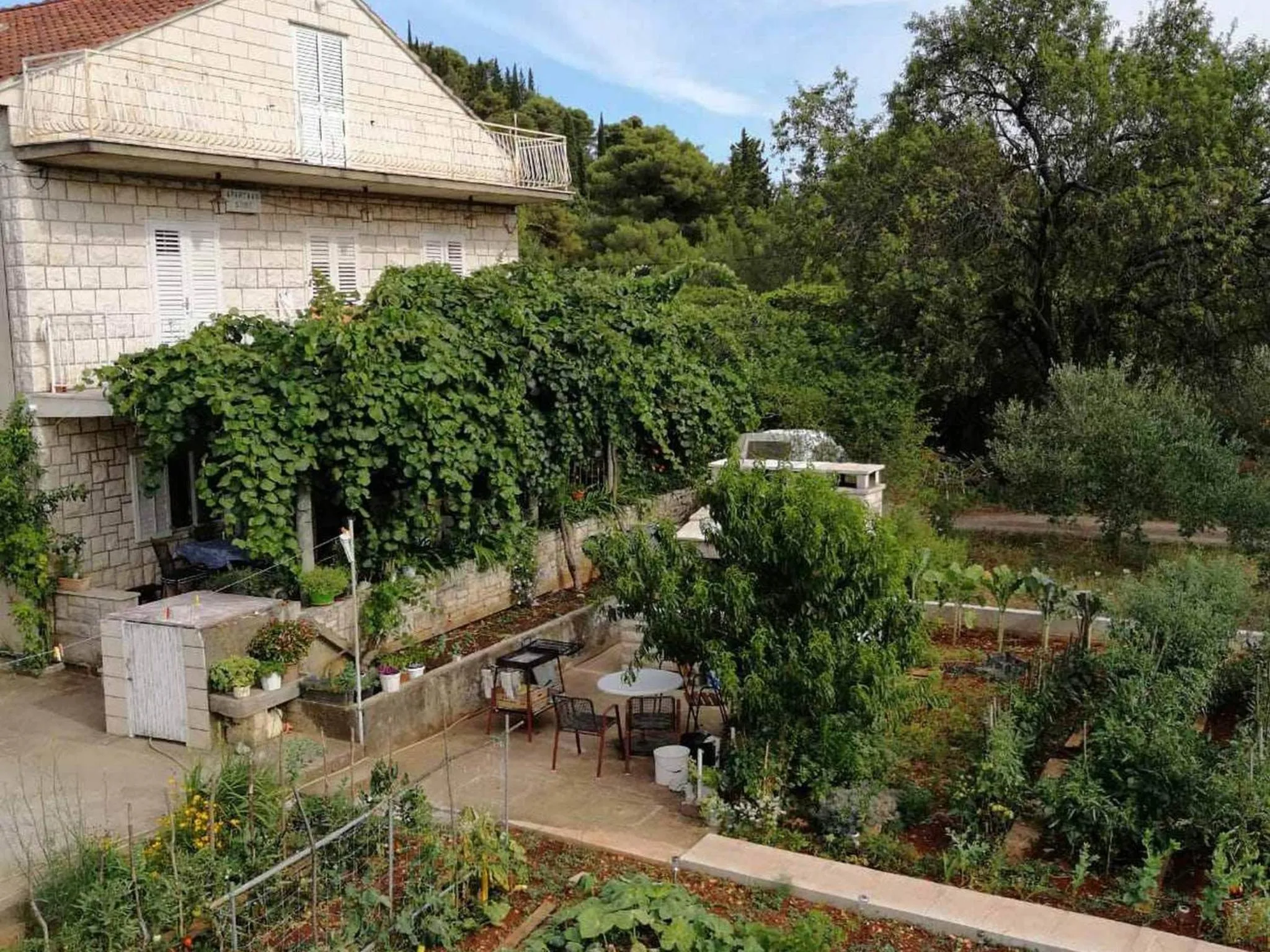 Property building in Apartments Marita