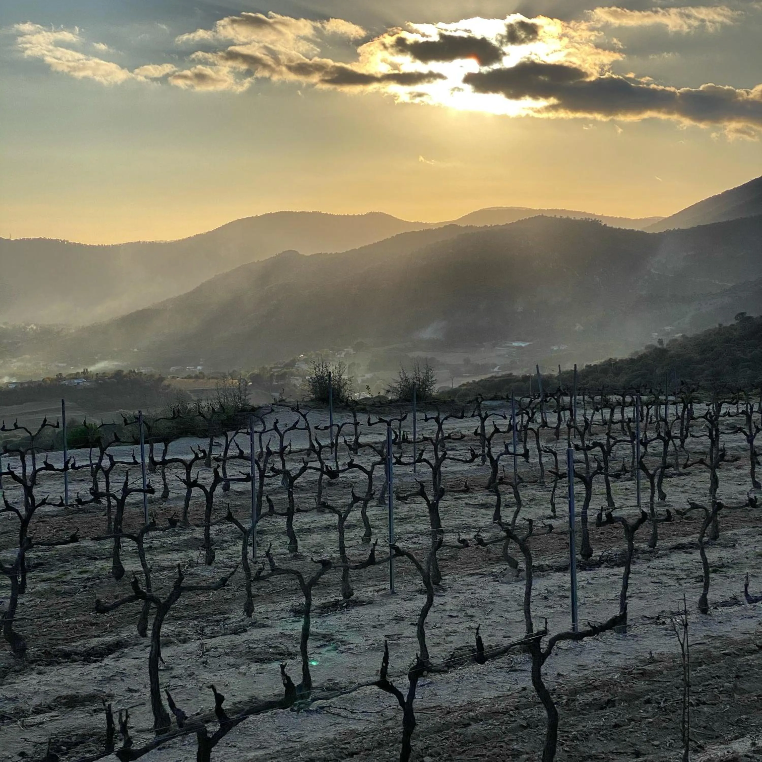 Nearby landmark in CARPE DIEM Résidence Hôtelière