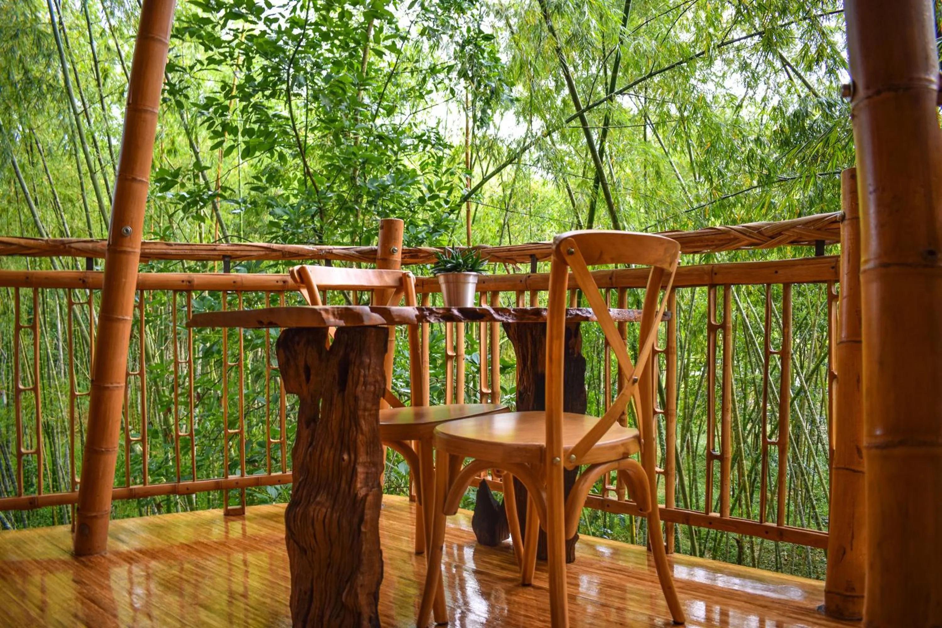 Natural landscape in Eco Hotel Hacienda El Diamante