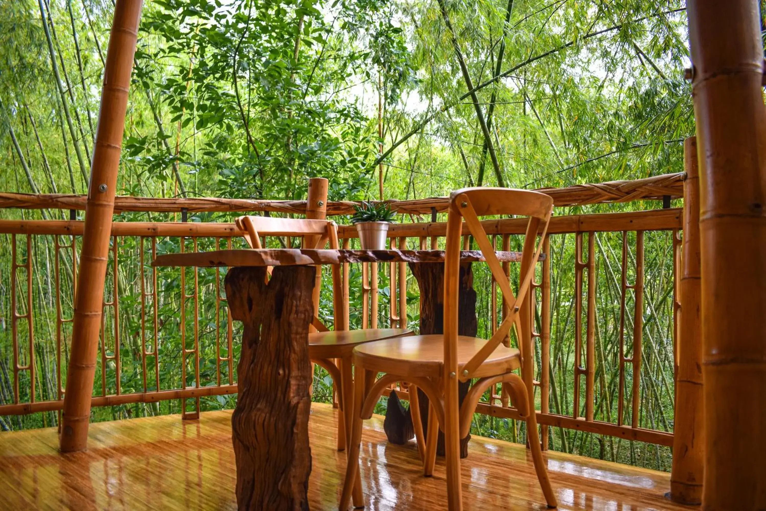 King Room with Balcony in Eco Hotel Hacienda El Diamante King Room with Balcony in Eco Hotel Hacienda El Diamante