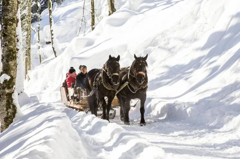 Winter in Hotel Gretina