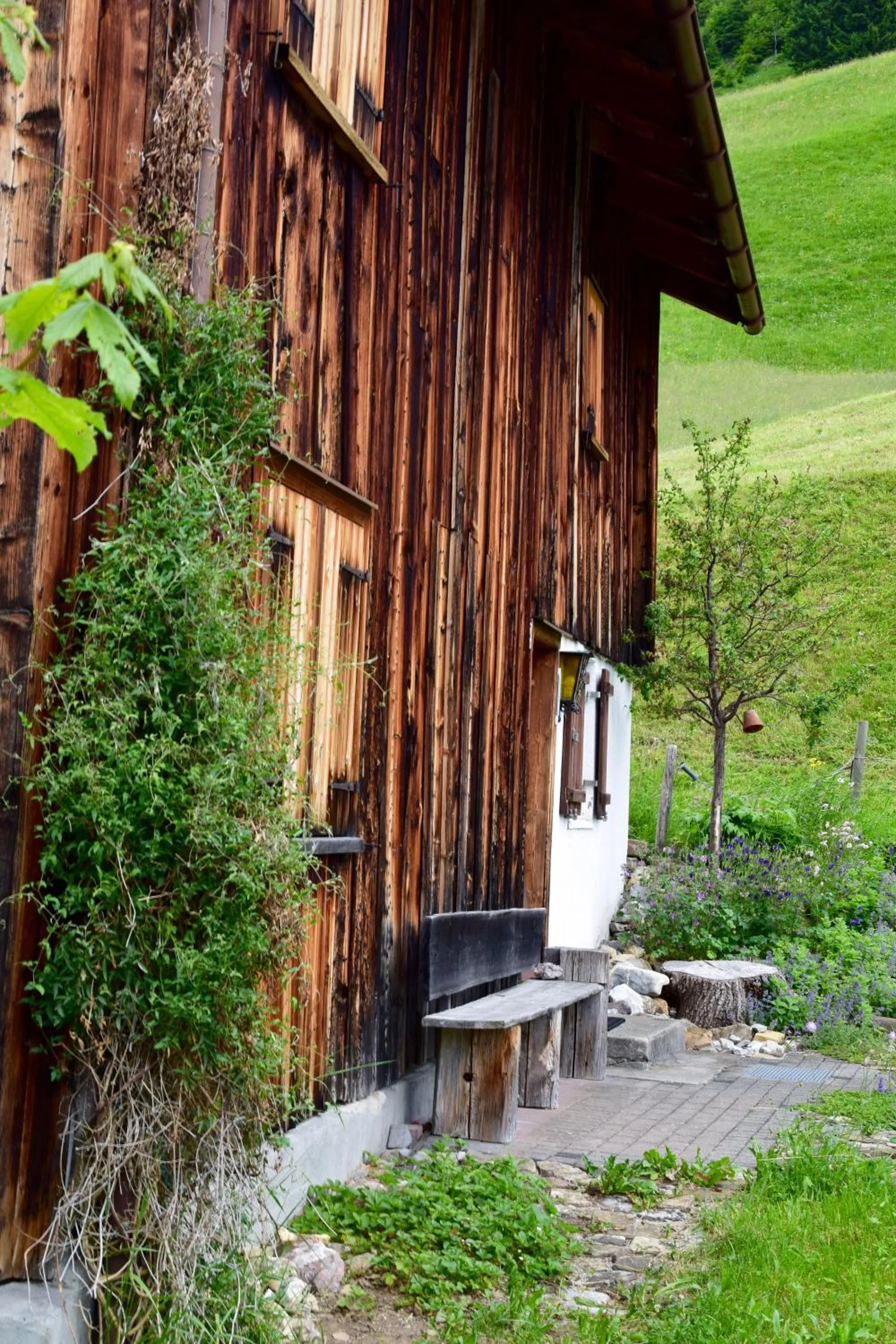 Neighbourhood in Hotel Gretina