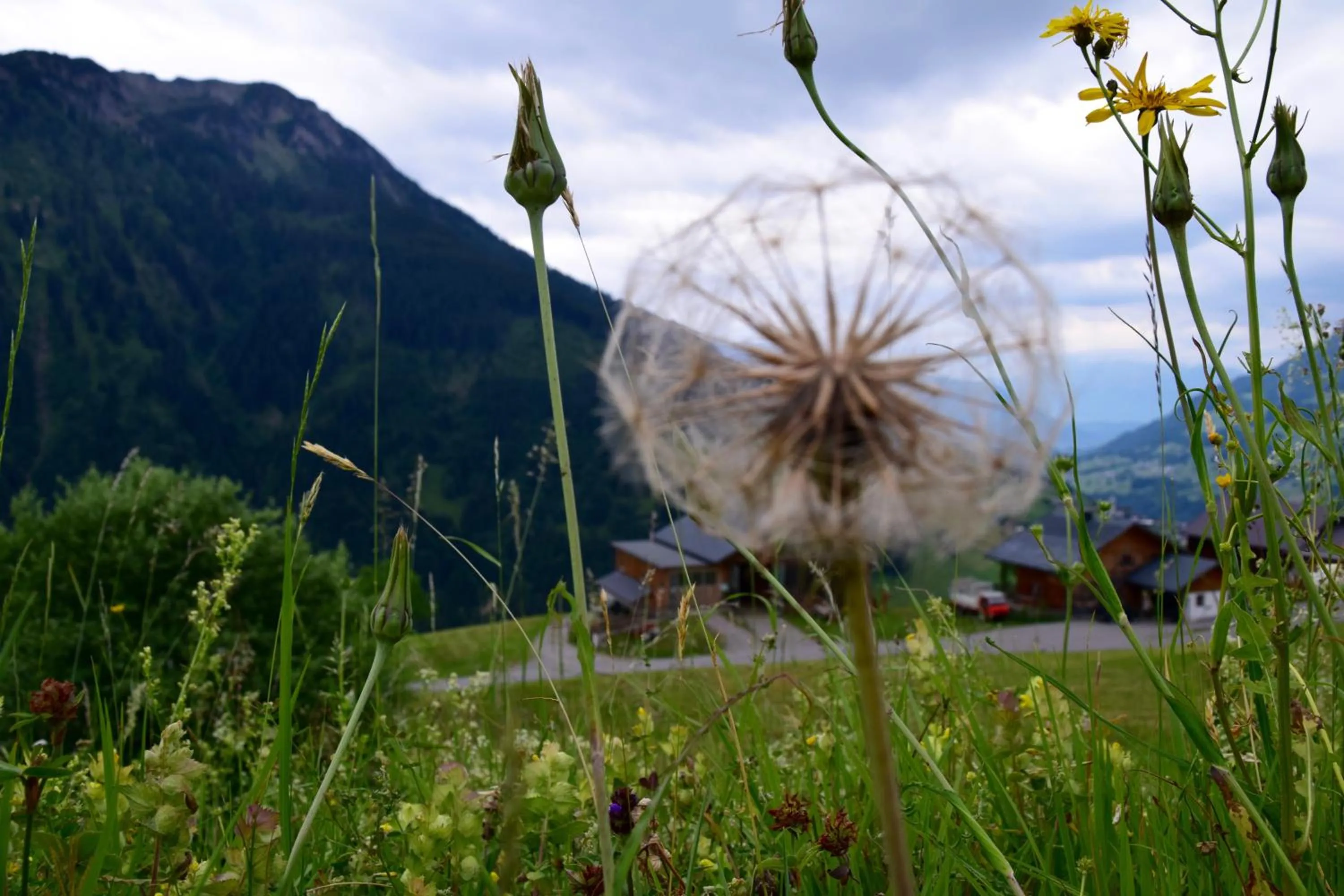 Natural landscape in Hotel Gretina