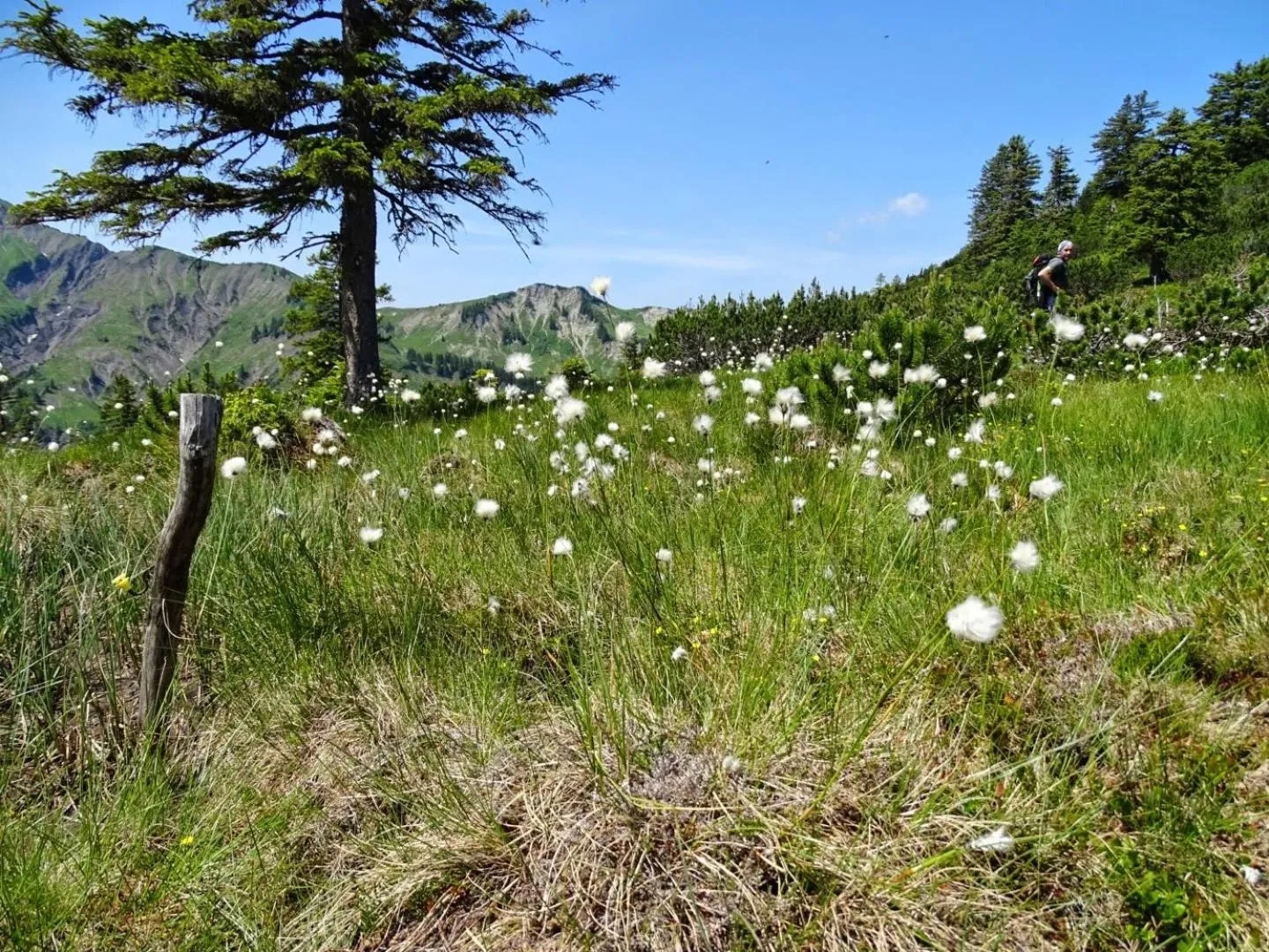 Hiking in Hotel Gretina