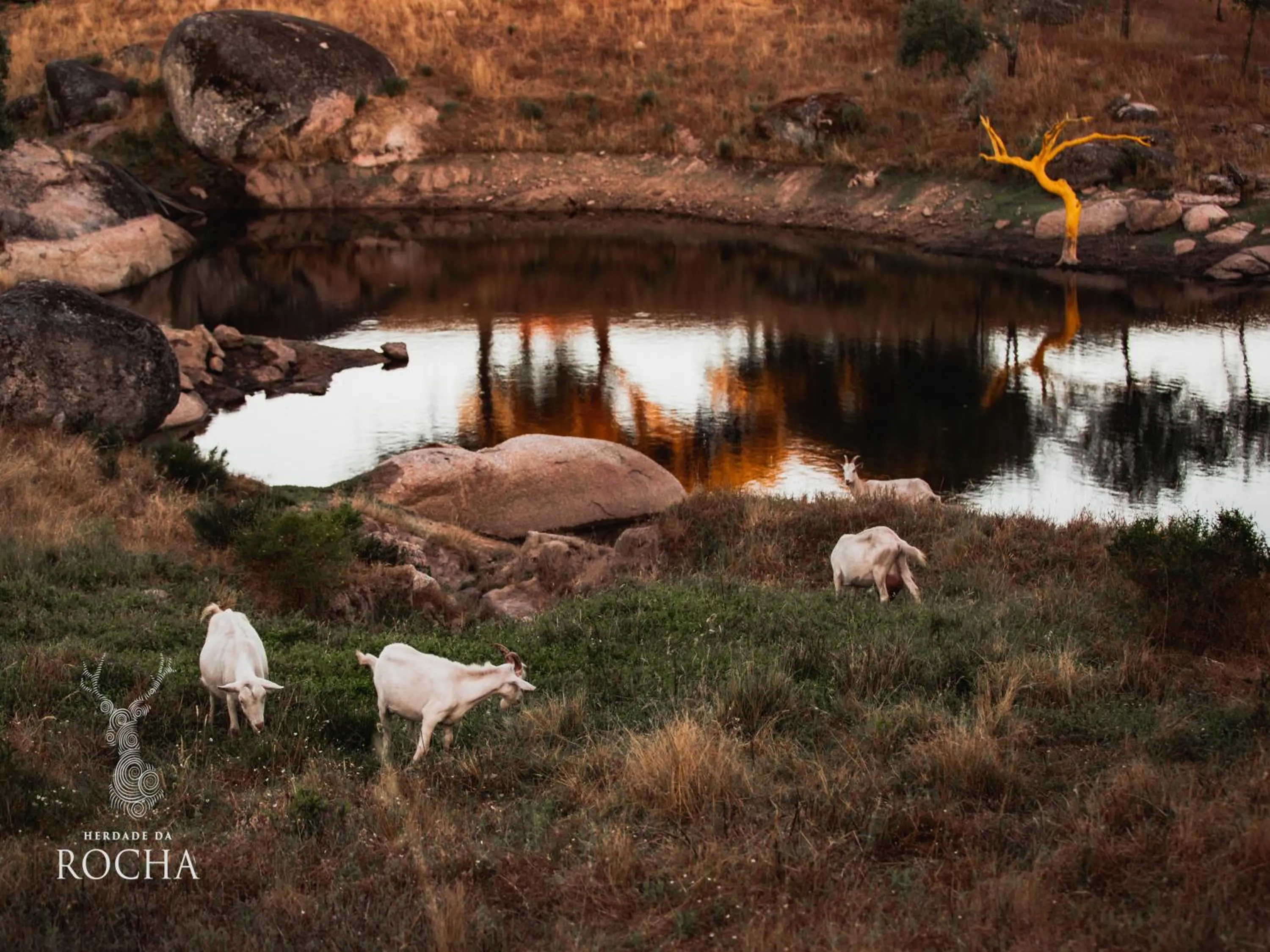 Natural landscape in Herdade da Rocha - Boutique Lodge