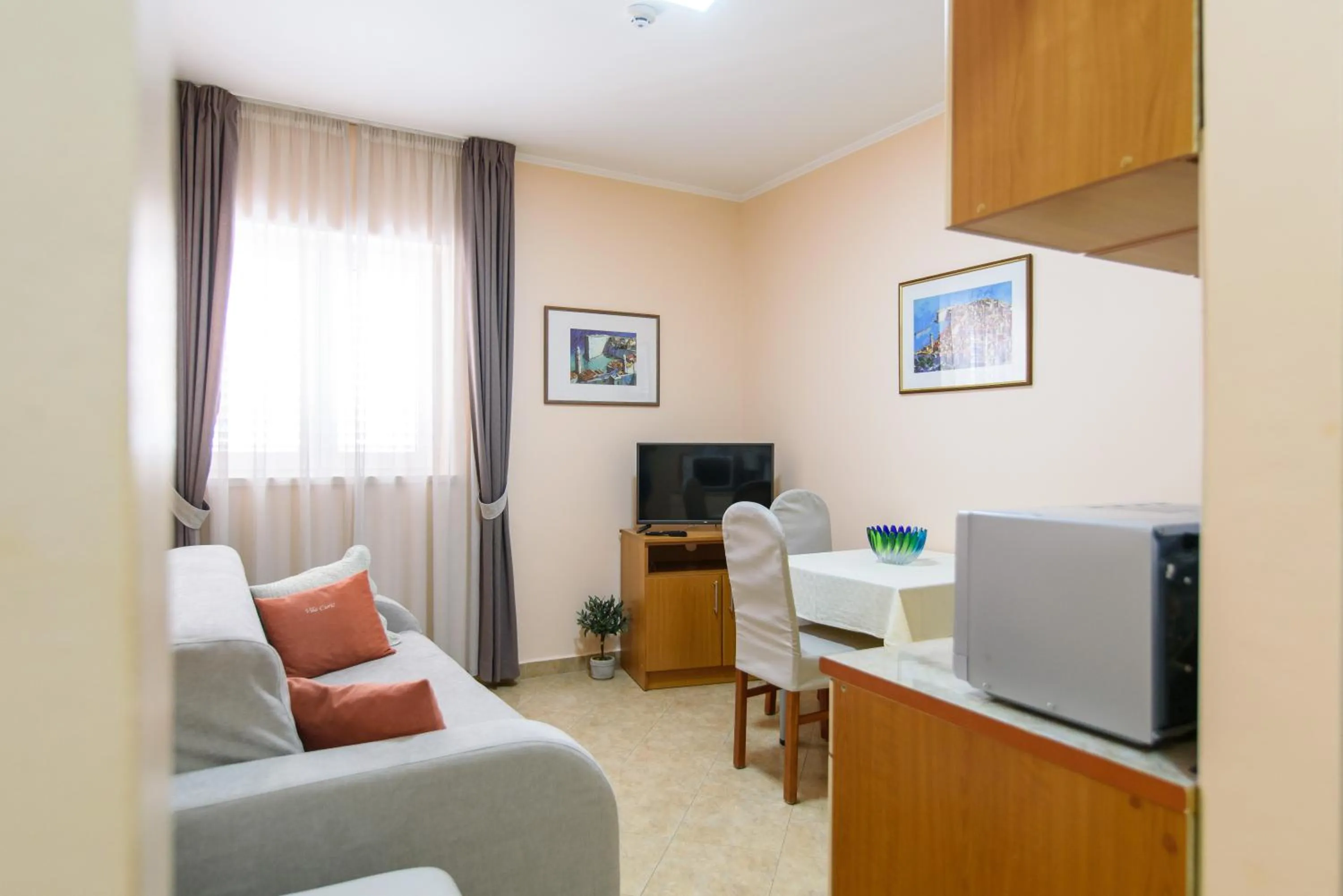 TV and multimedia in Vila Curic