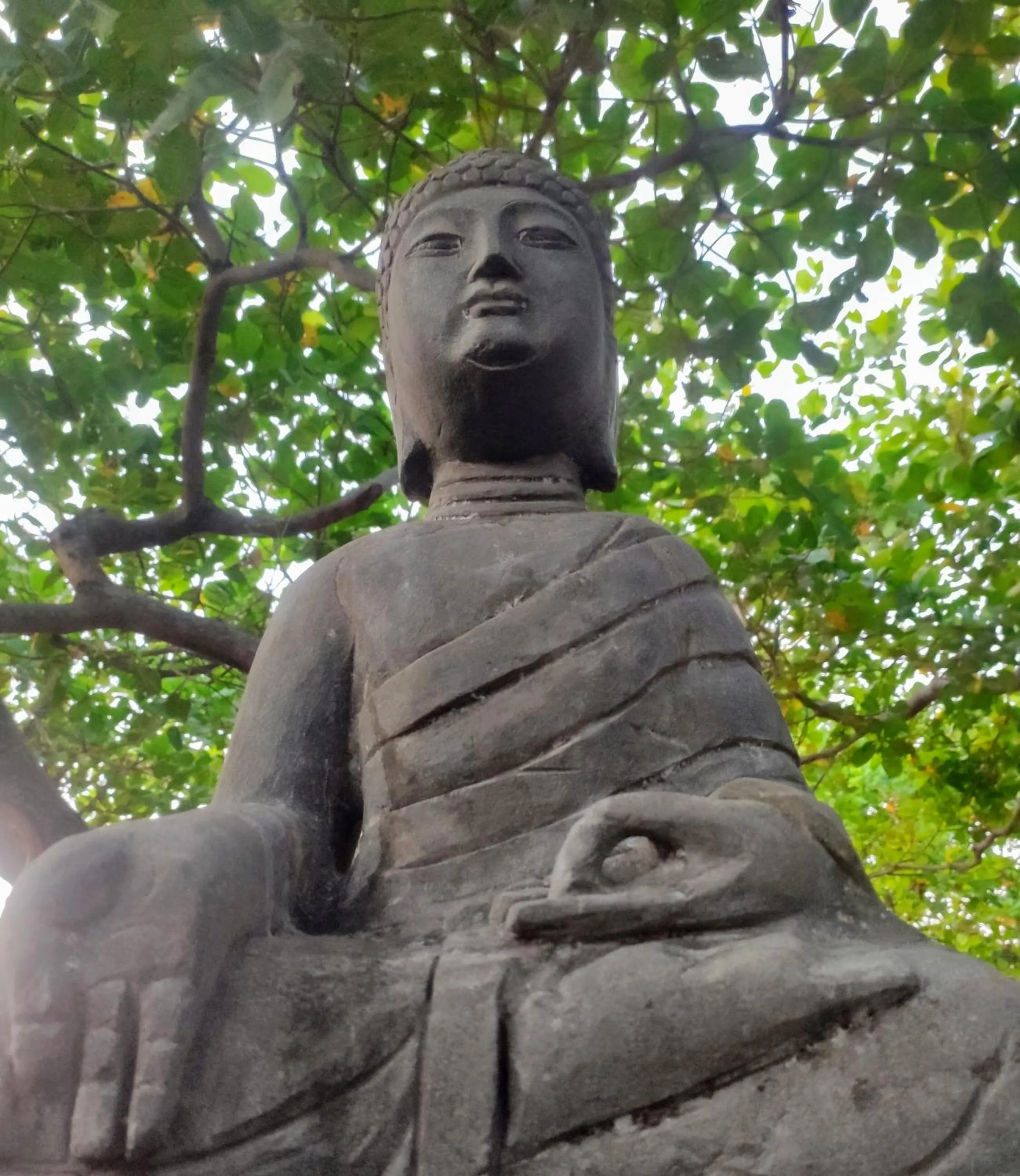 Garden in Convento Arcádia