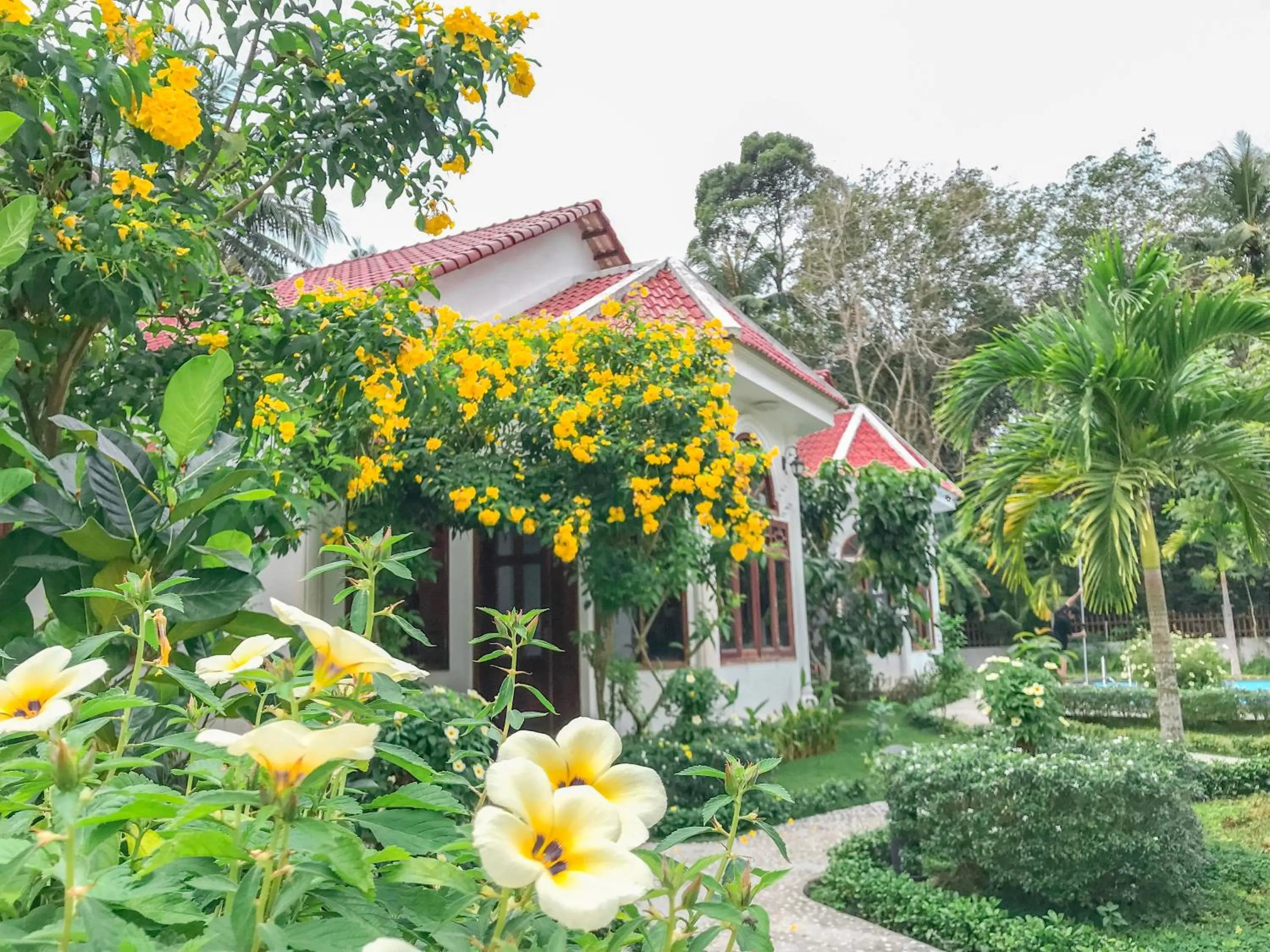 Property building in Wings Bungalow