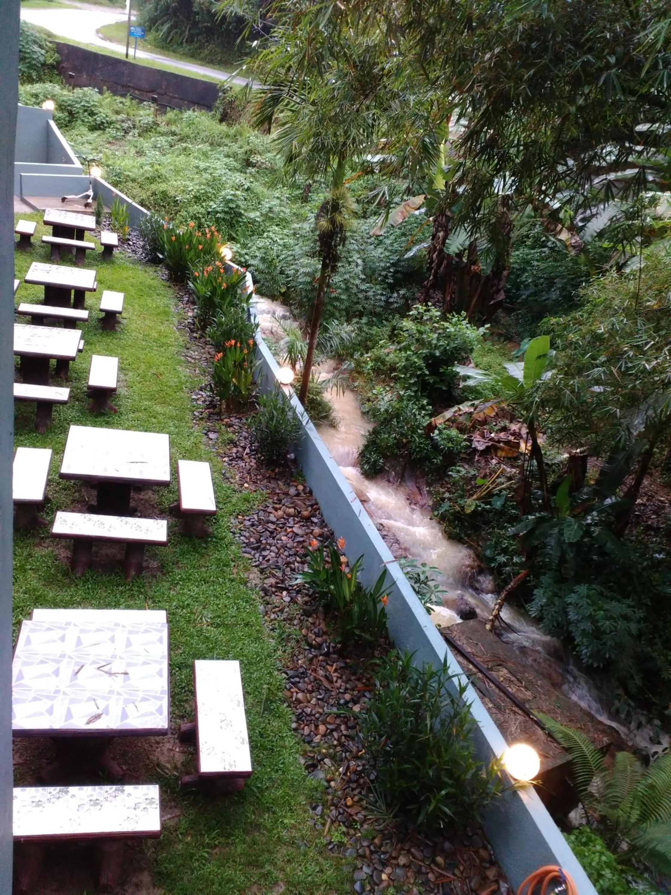 Green Peace Sungai Lembing