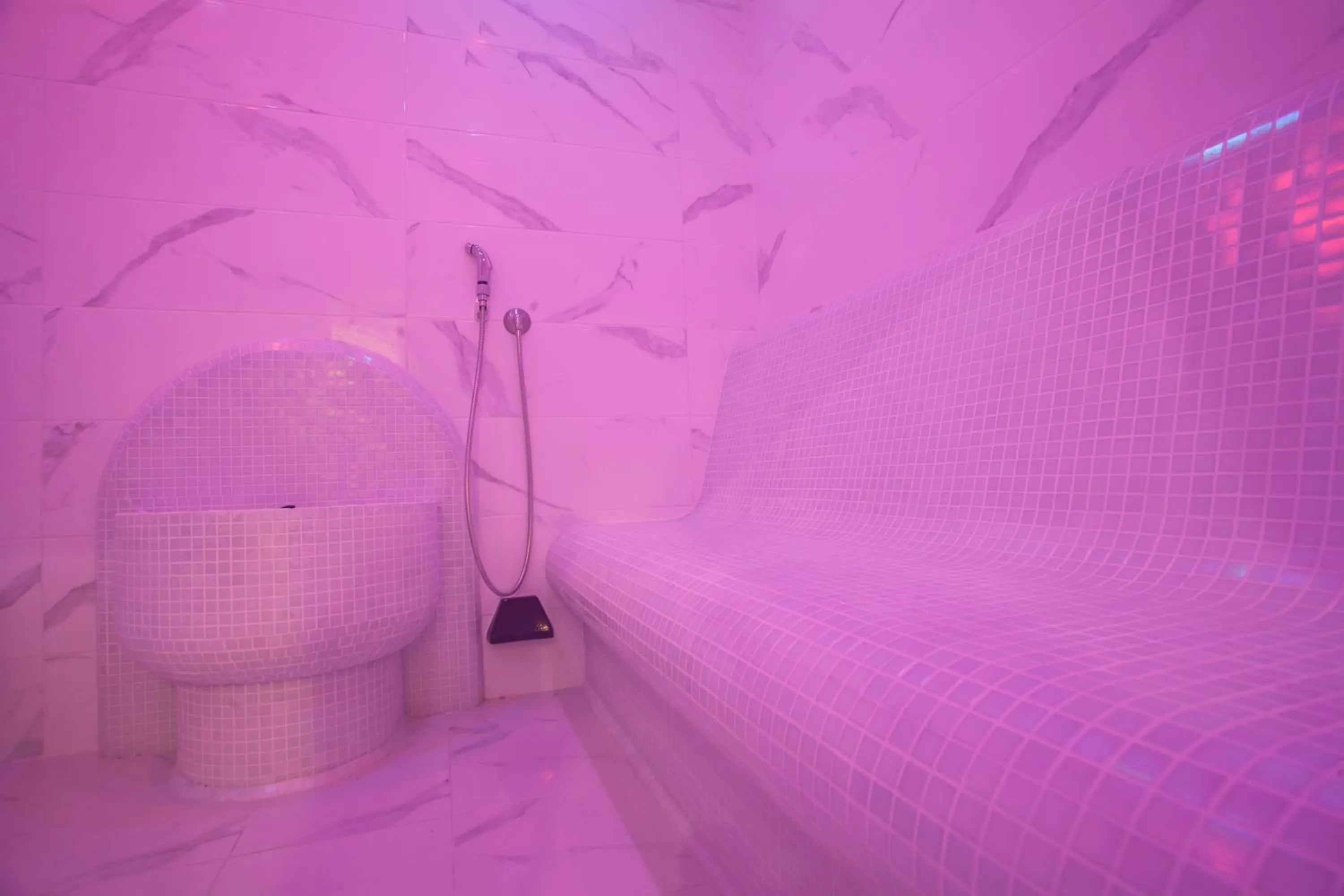 Shower in Balneo & SPA Hotel Aura