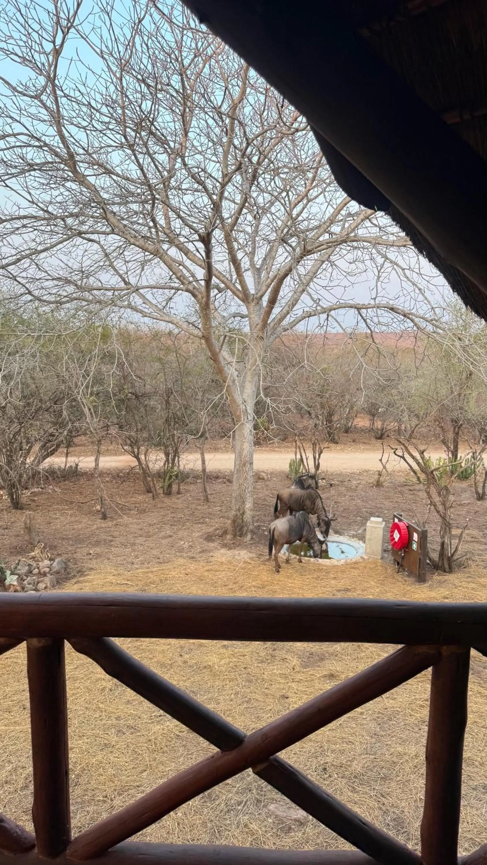 Kruger Riverside Lodge - No Load-shedding