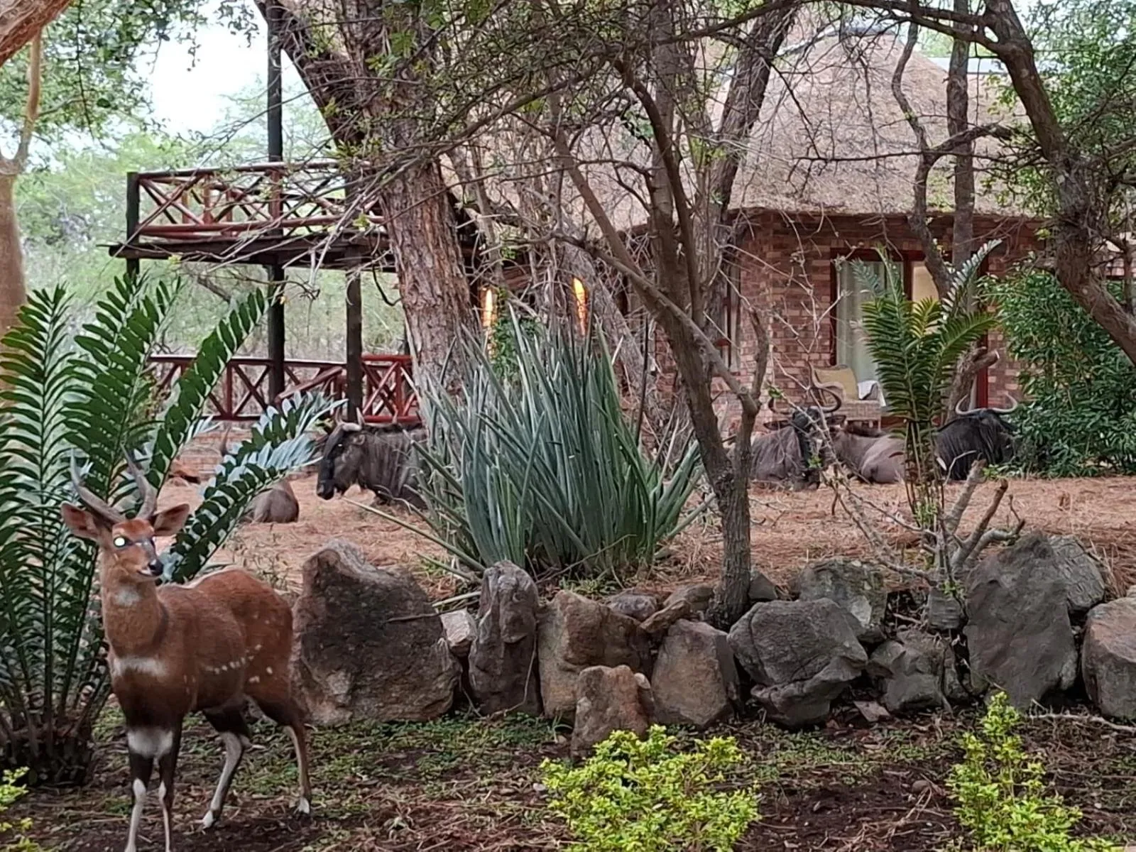 Kruger Riverside Lodge - No Load-shedding