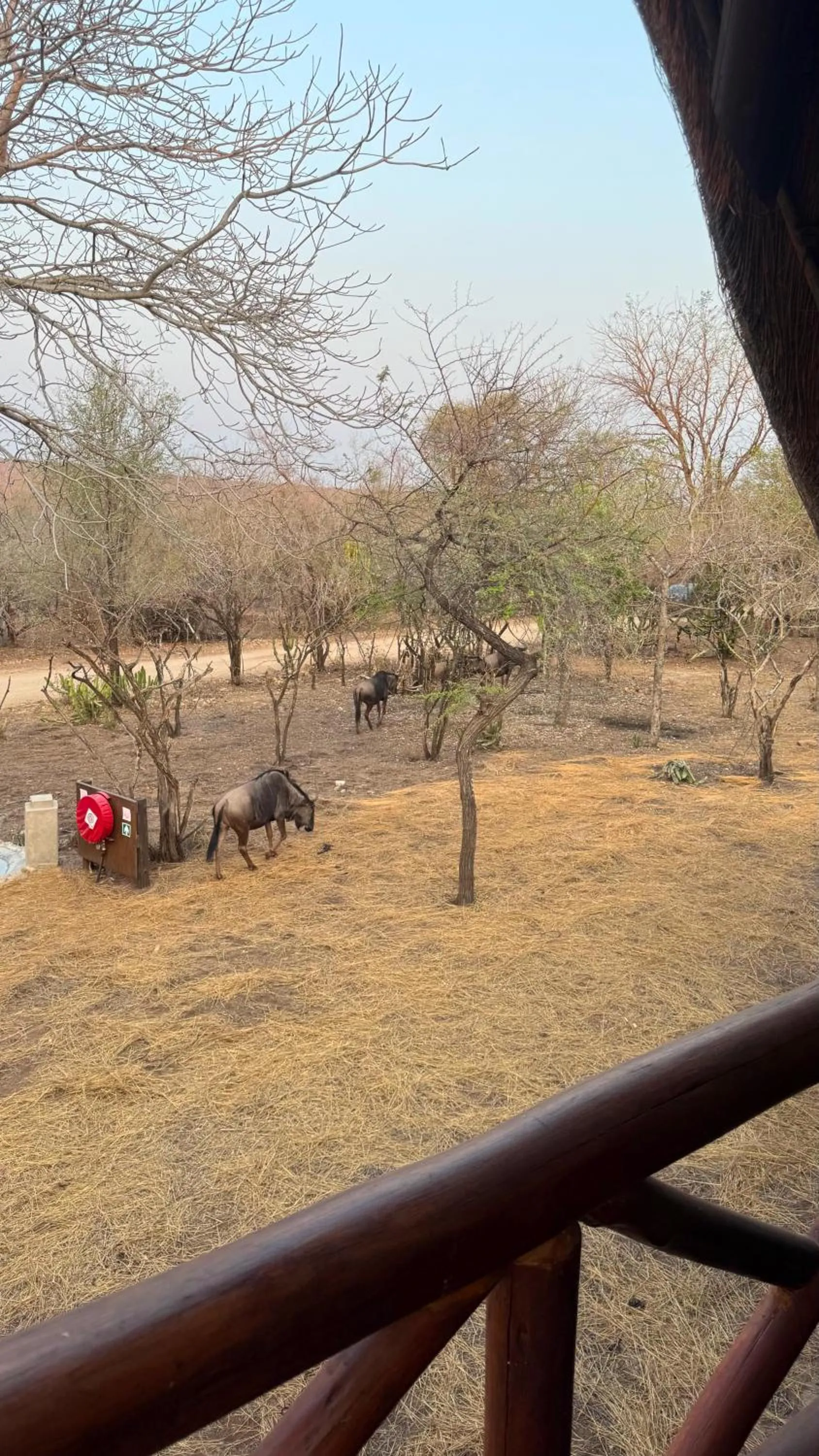 Kruger Riverside Lodge - No Load-shedding