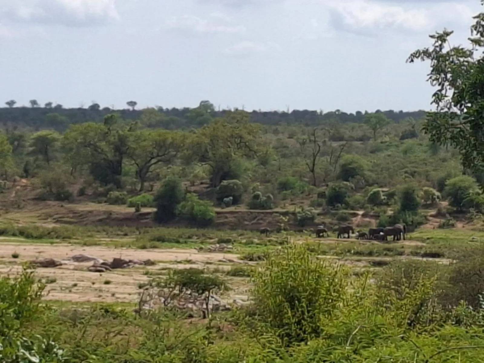 Kruger Riverside Lodge - No Load-shedding