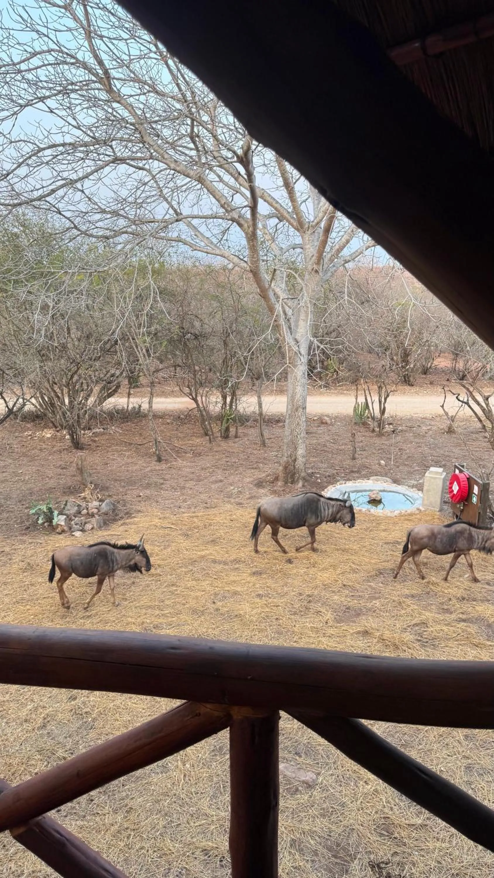 Kruger Riverside Lodge - No Load-shedding