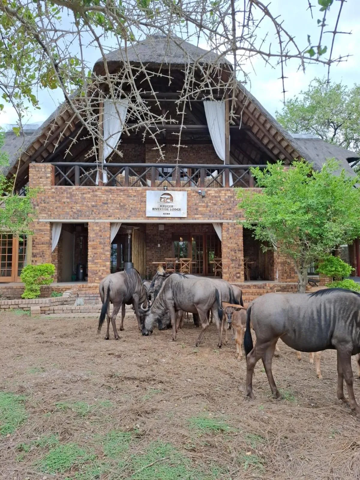 Kruger Riverside Lodge - No Load-shedding