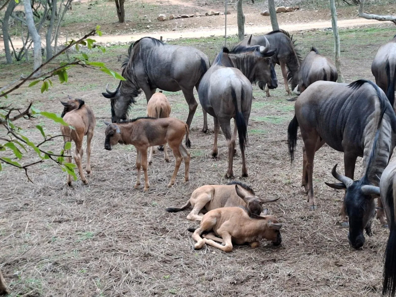 Kruger Riverside Lodge - No Load-shedding