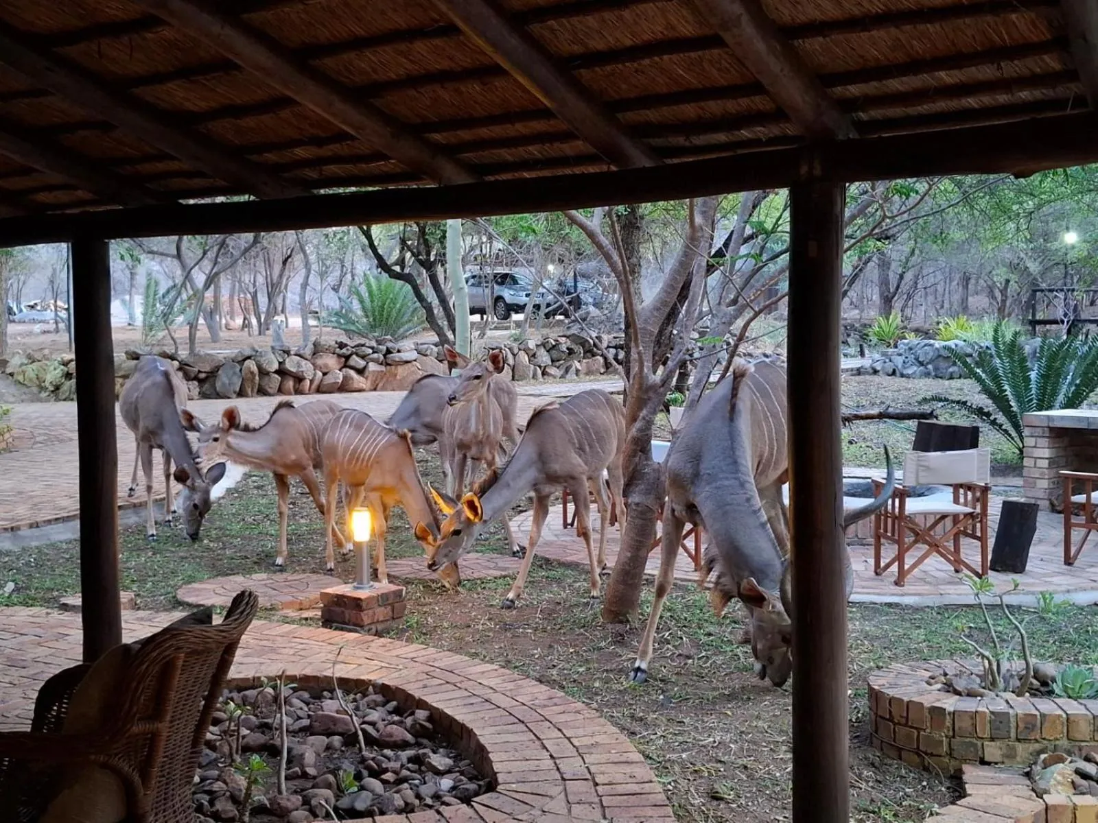 Kruger Riverside Lodge - No Load-shedding