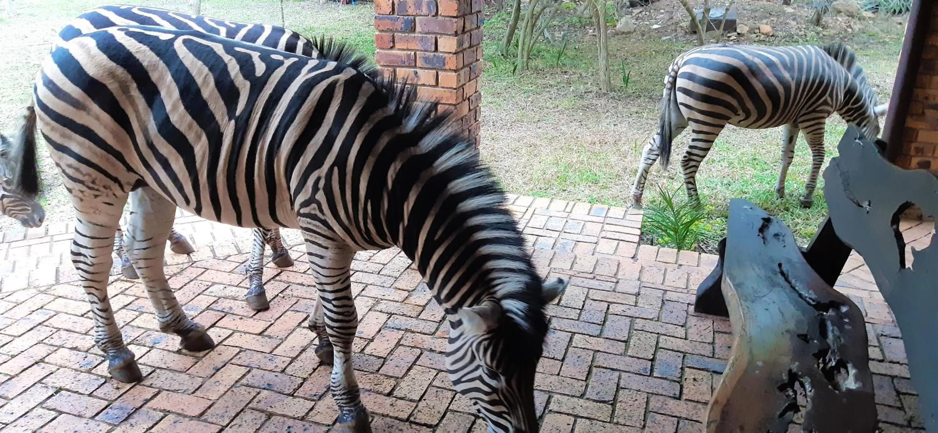 Balcony/Terrace in Kruger Riverside Lodge - No Load-shedding