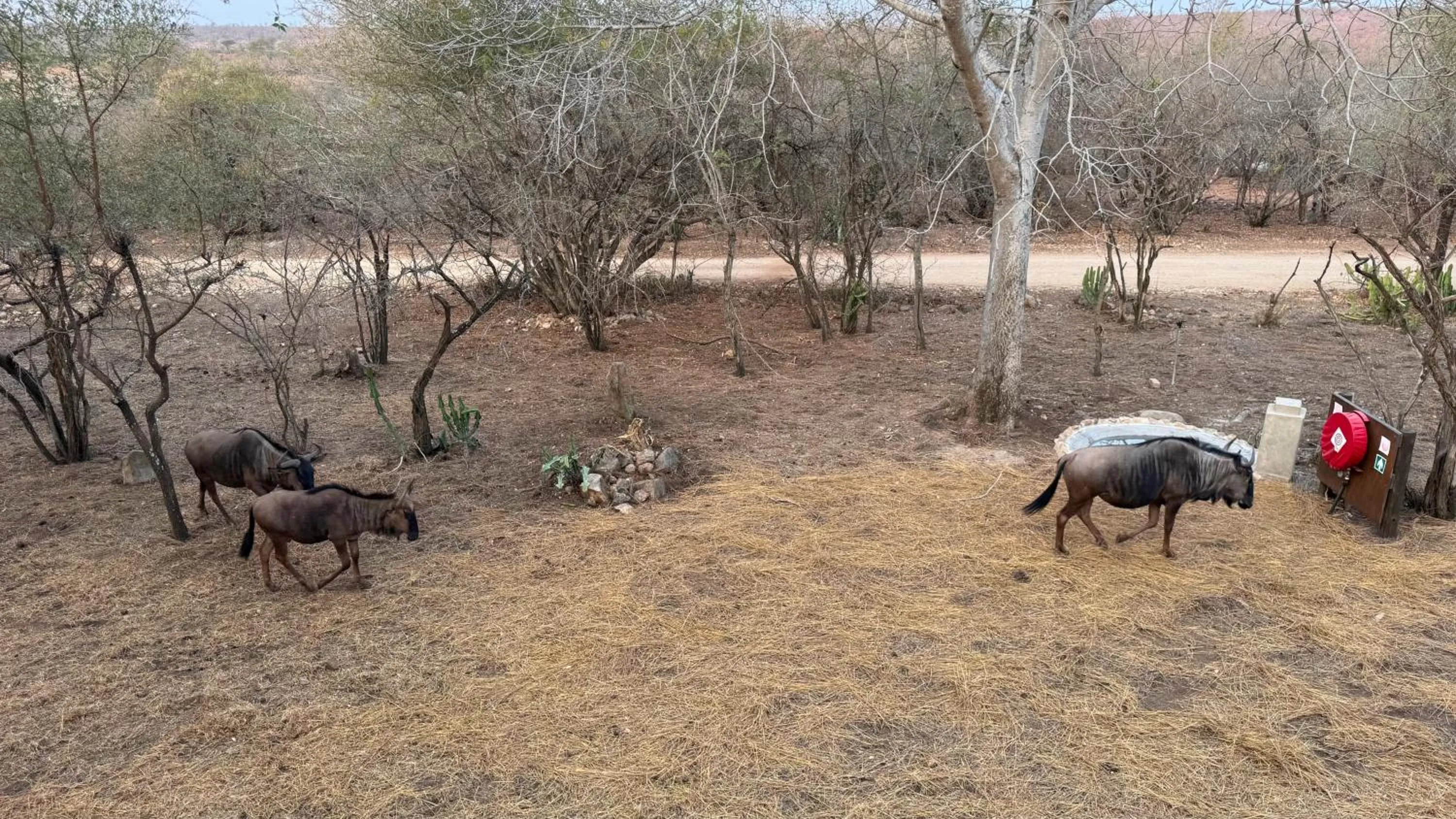 Kruger Riverside Lodge - No Load-shedding