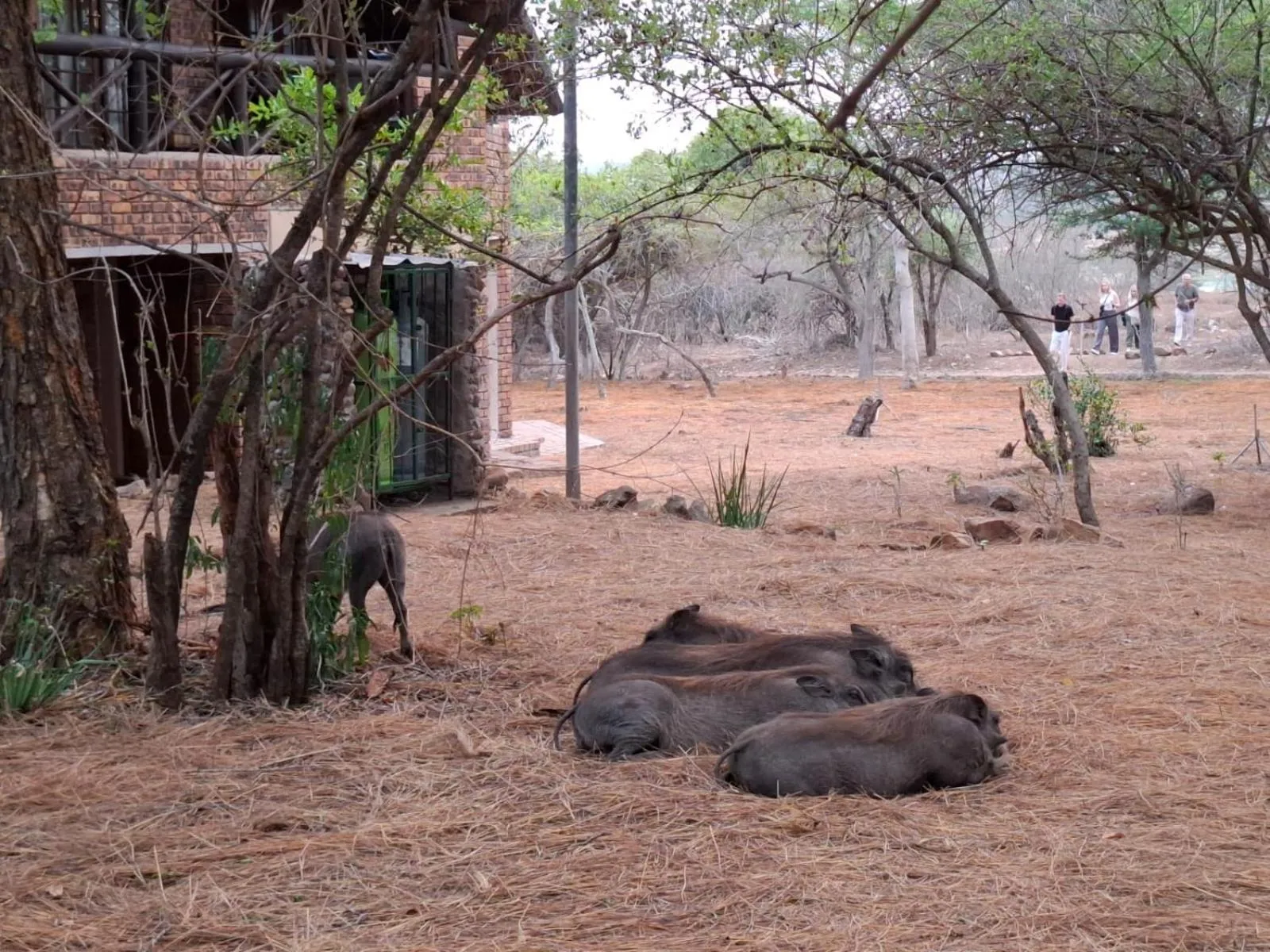 Kruger Riverside Lodge - No Load-shedding