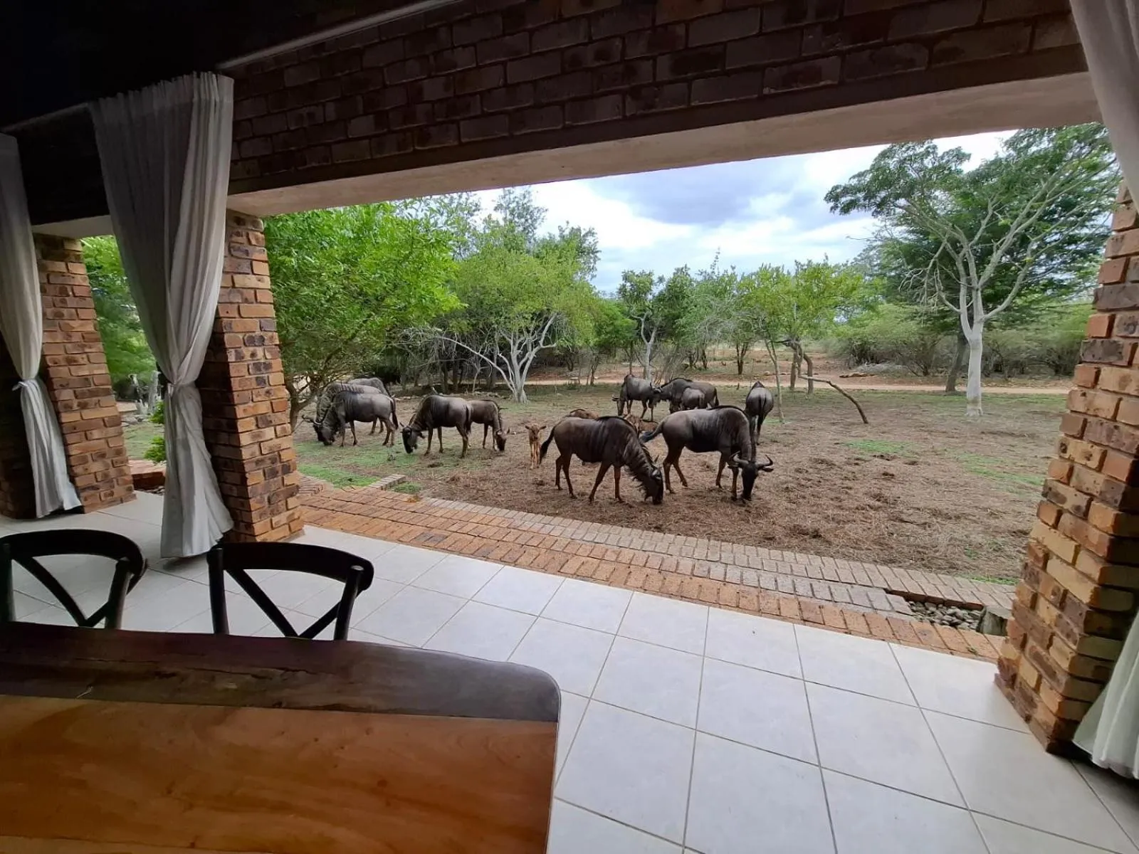 Kruger Riverside Lodge - No Load-shedding