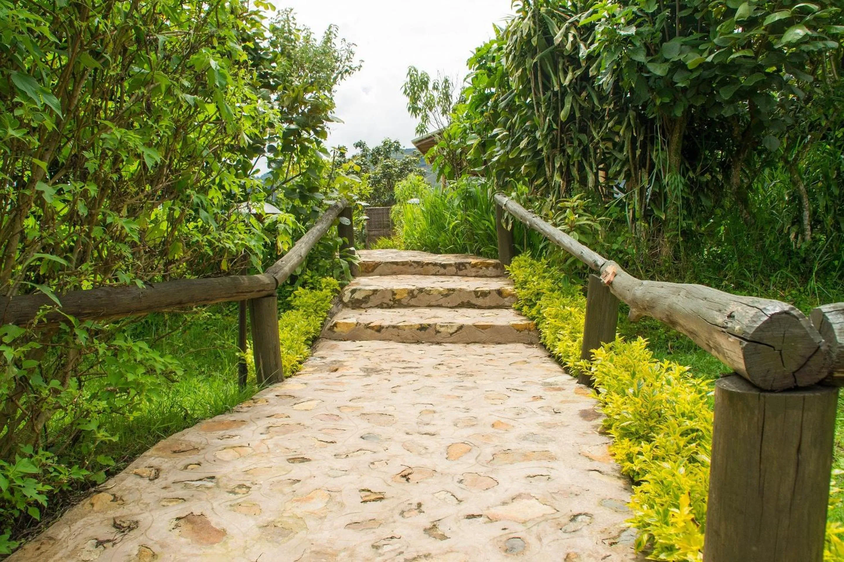 Garden in Ichumbi Gorilla Lodge
