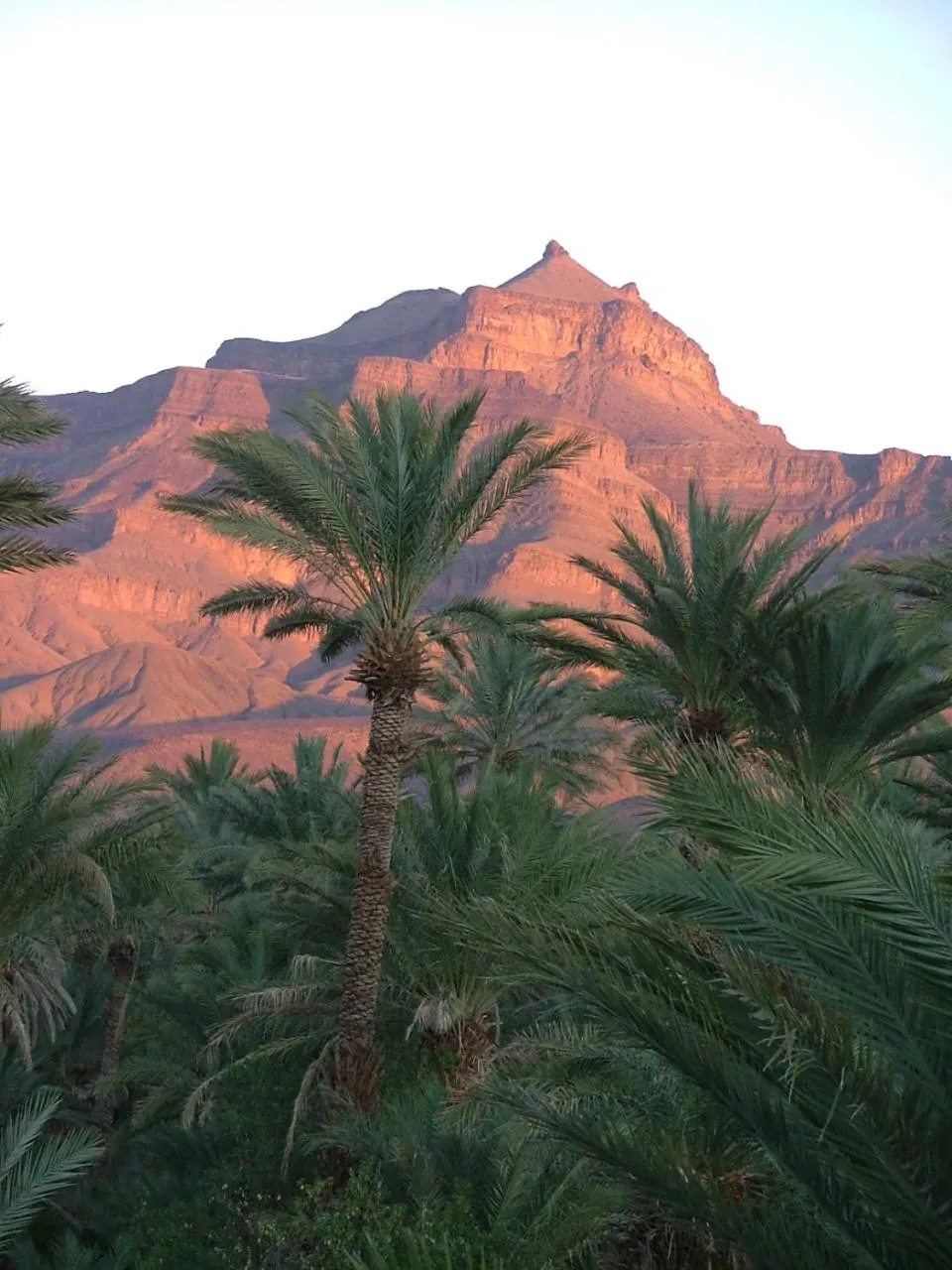 Natural landscape in Maison d'Hôtes Kasbah Azul