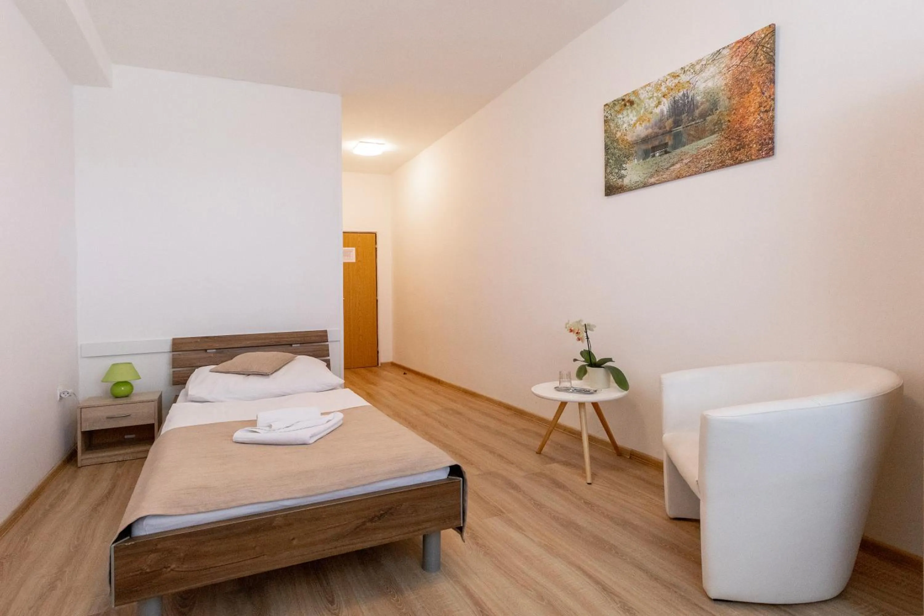 Photo of the whole room, Bed in Agro Complex Apartments