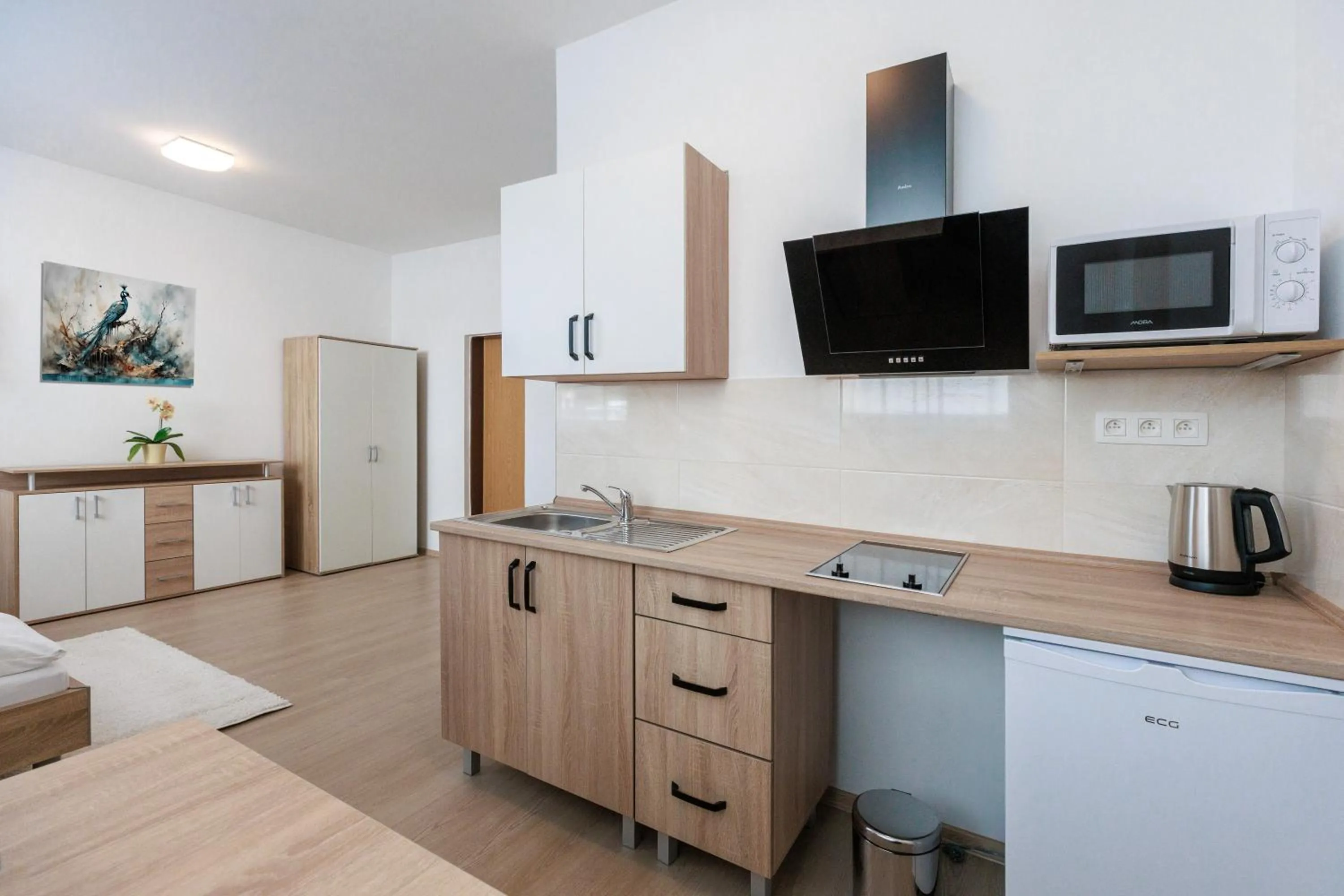 Photo of the whole room in Agro Complex Apartments