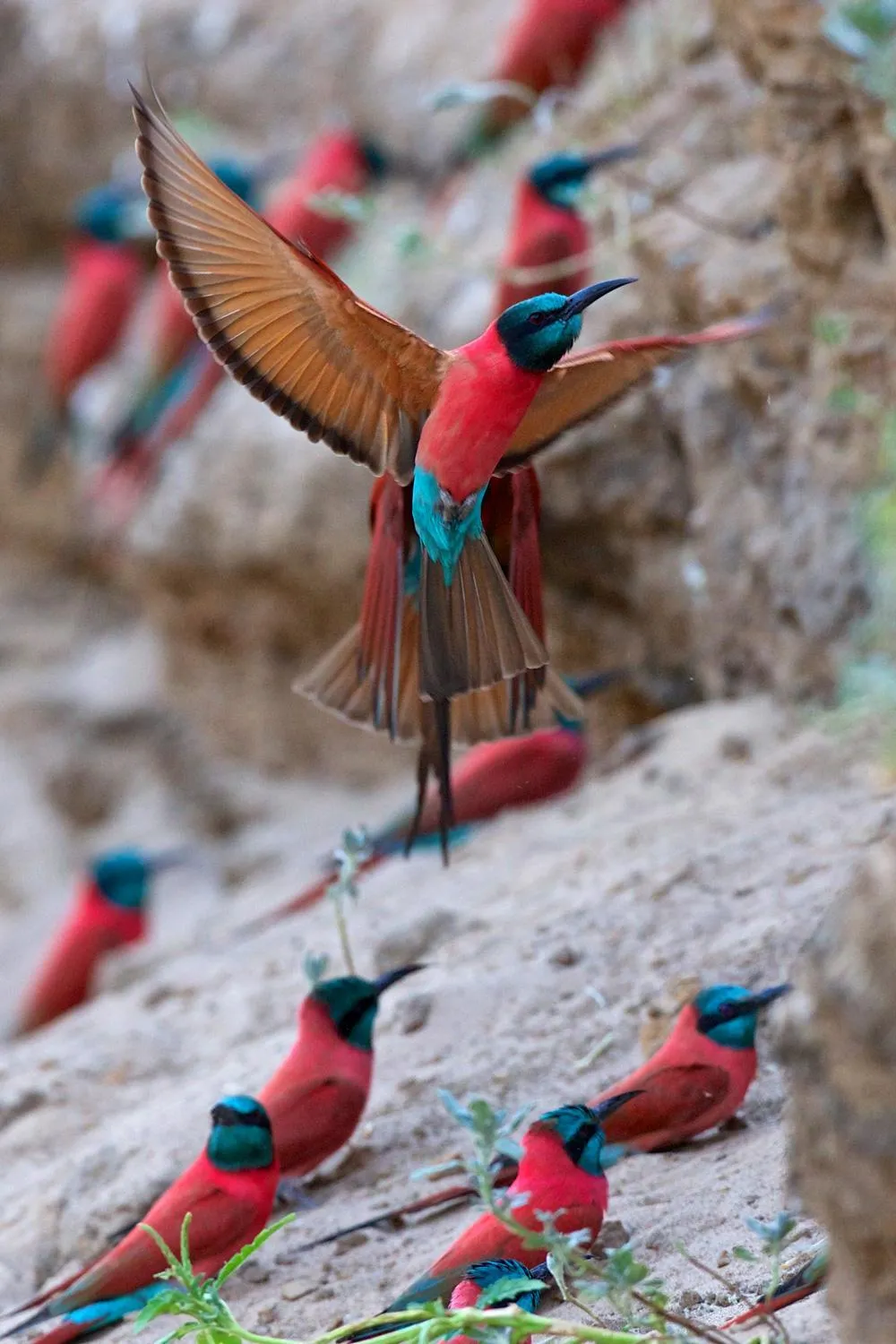Activities in Zambezi Mubala Camp