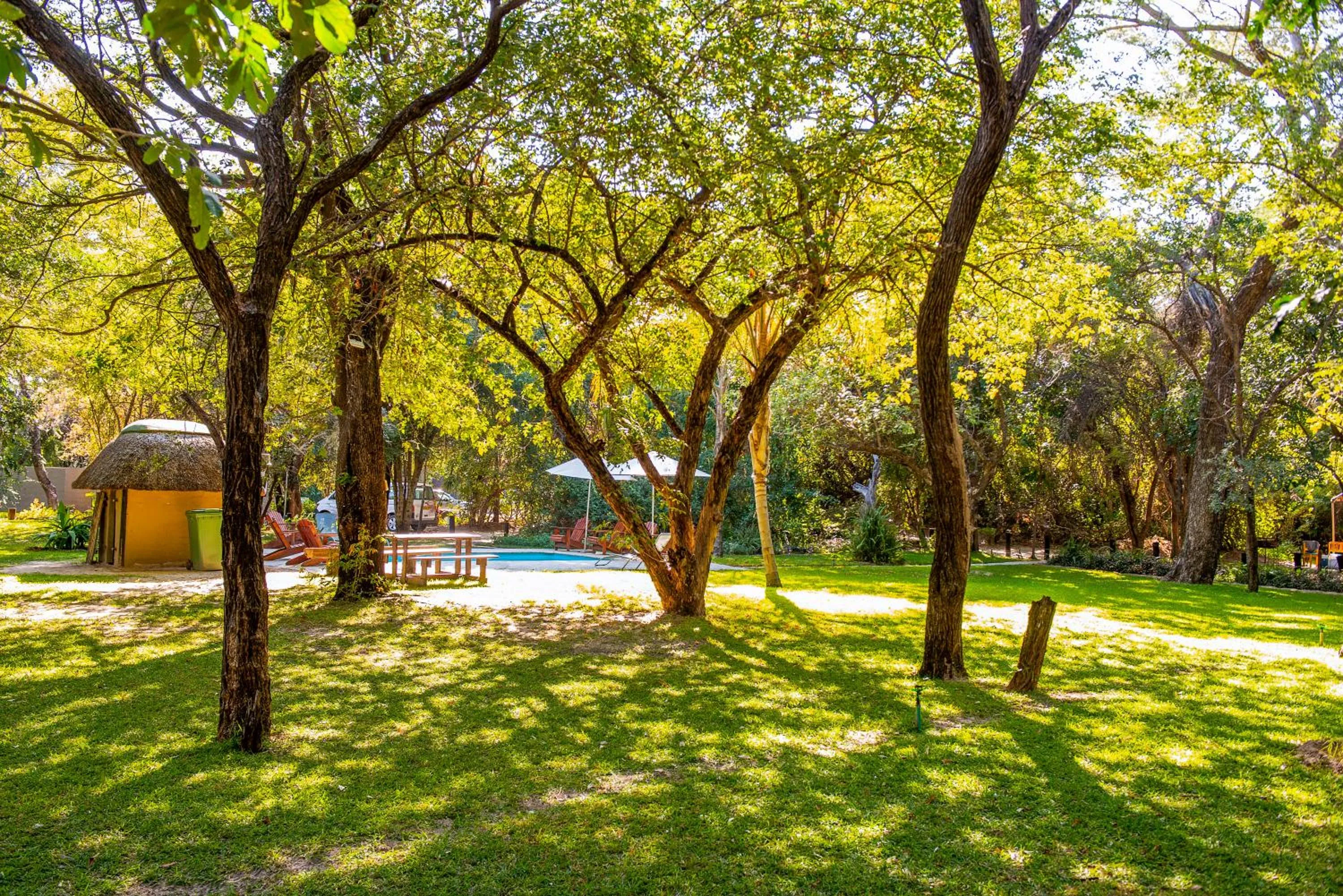 Day in Zambezi Mubala Camp