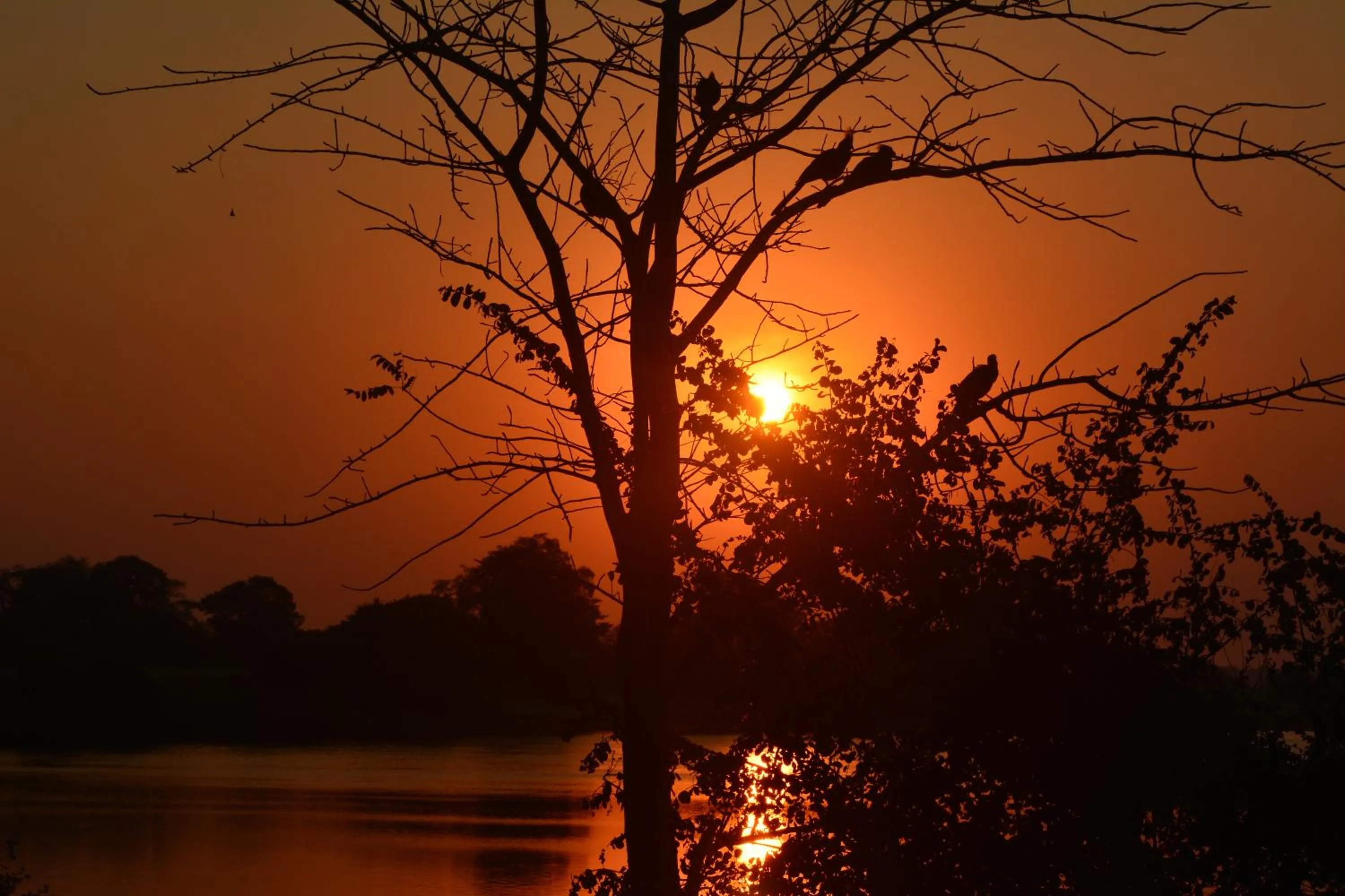 Natural landscape in Zambezi Mubala Camp