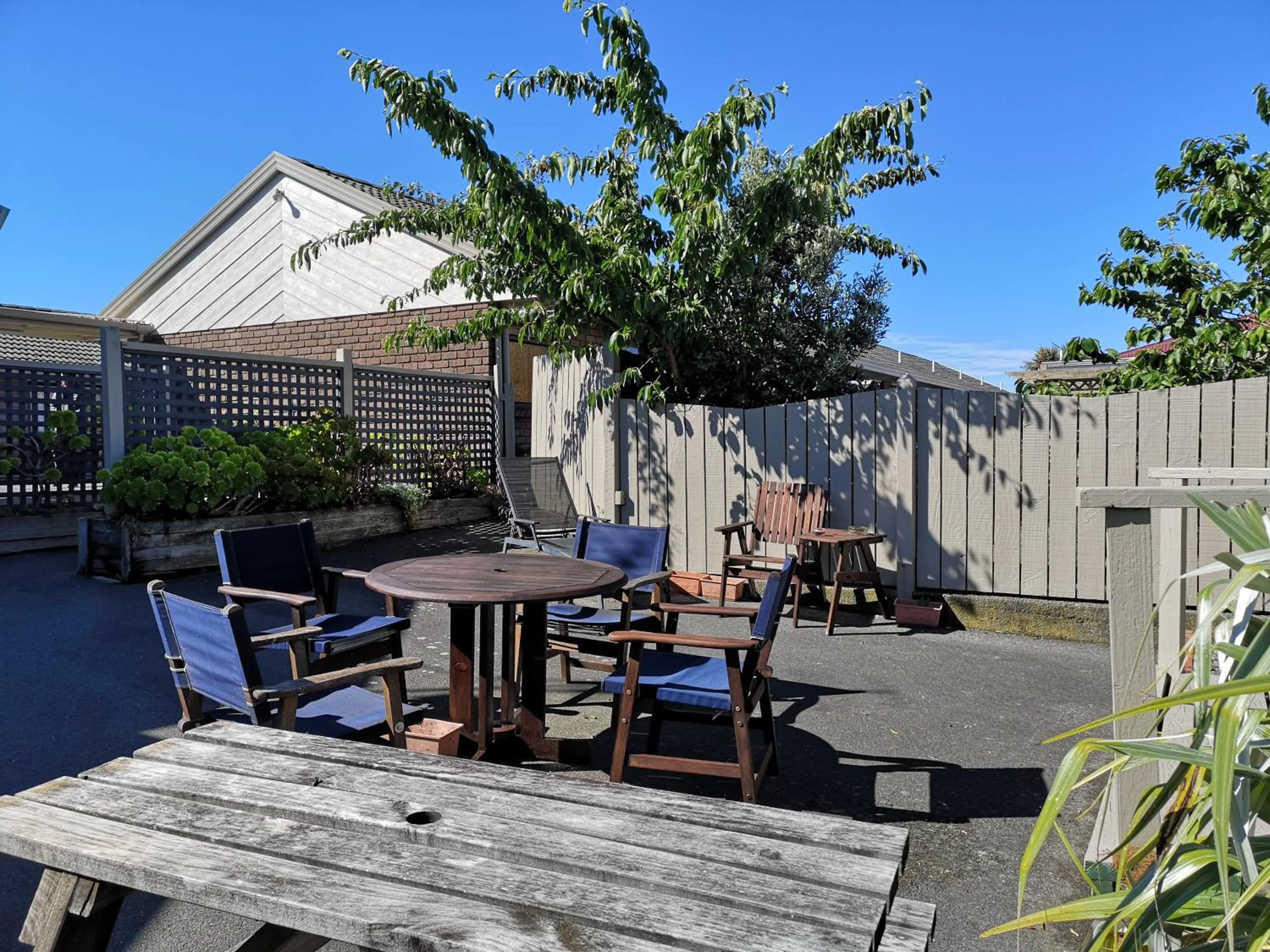 Garden in Foreshore Motor Lodge