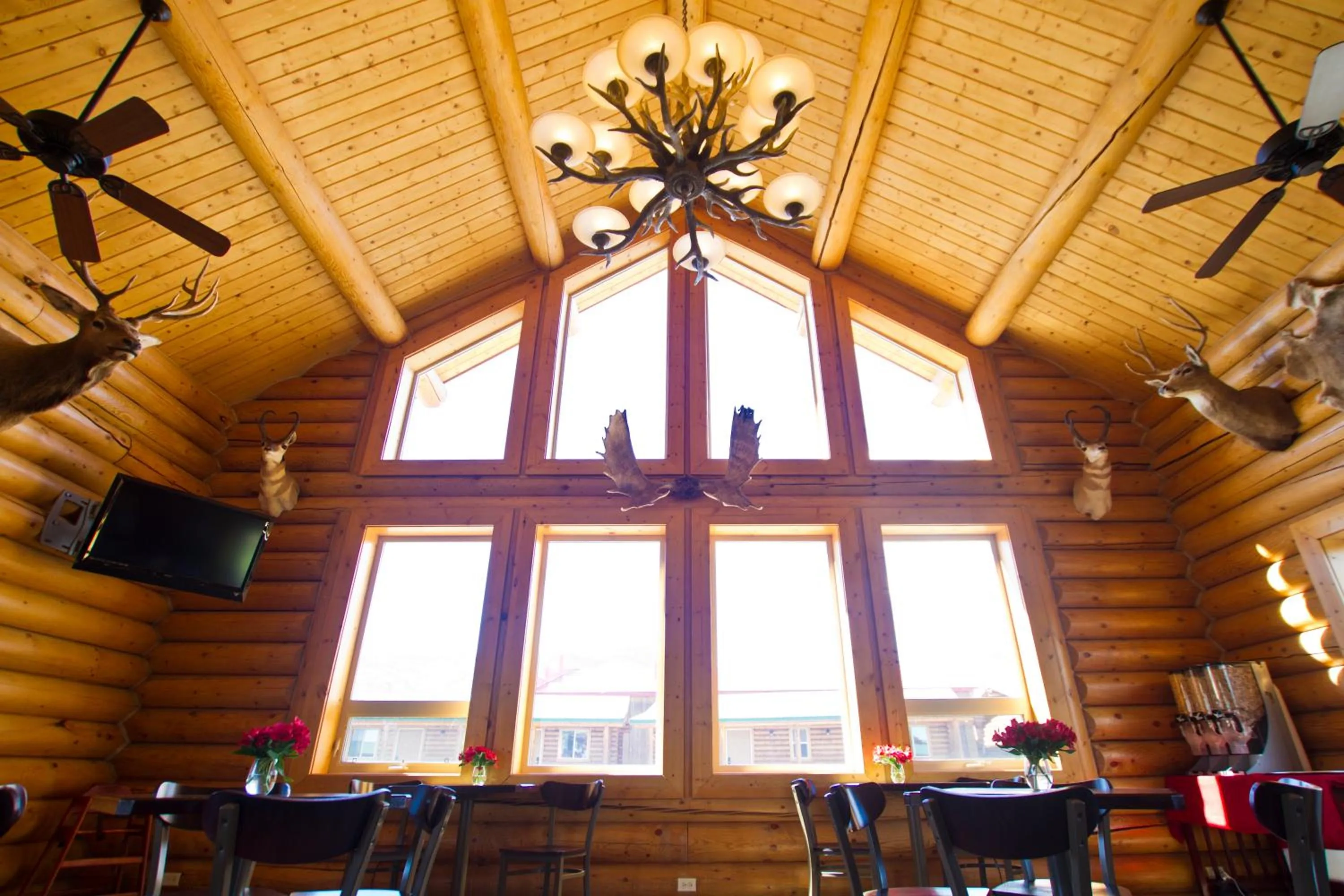 Property building in Cody Cowboy Village